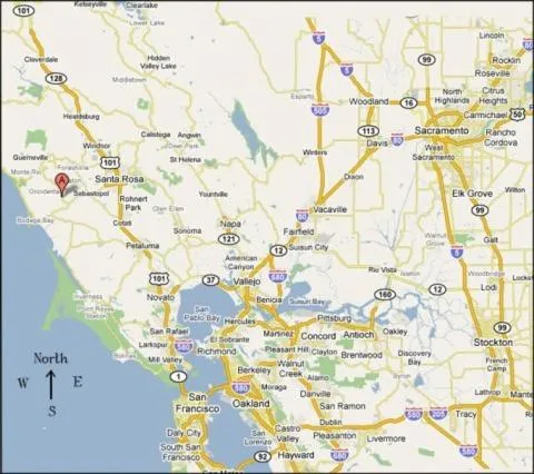 Bird's eye view in The Occidental Lodge