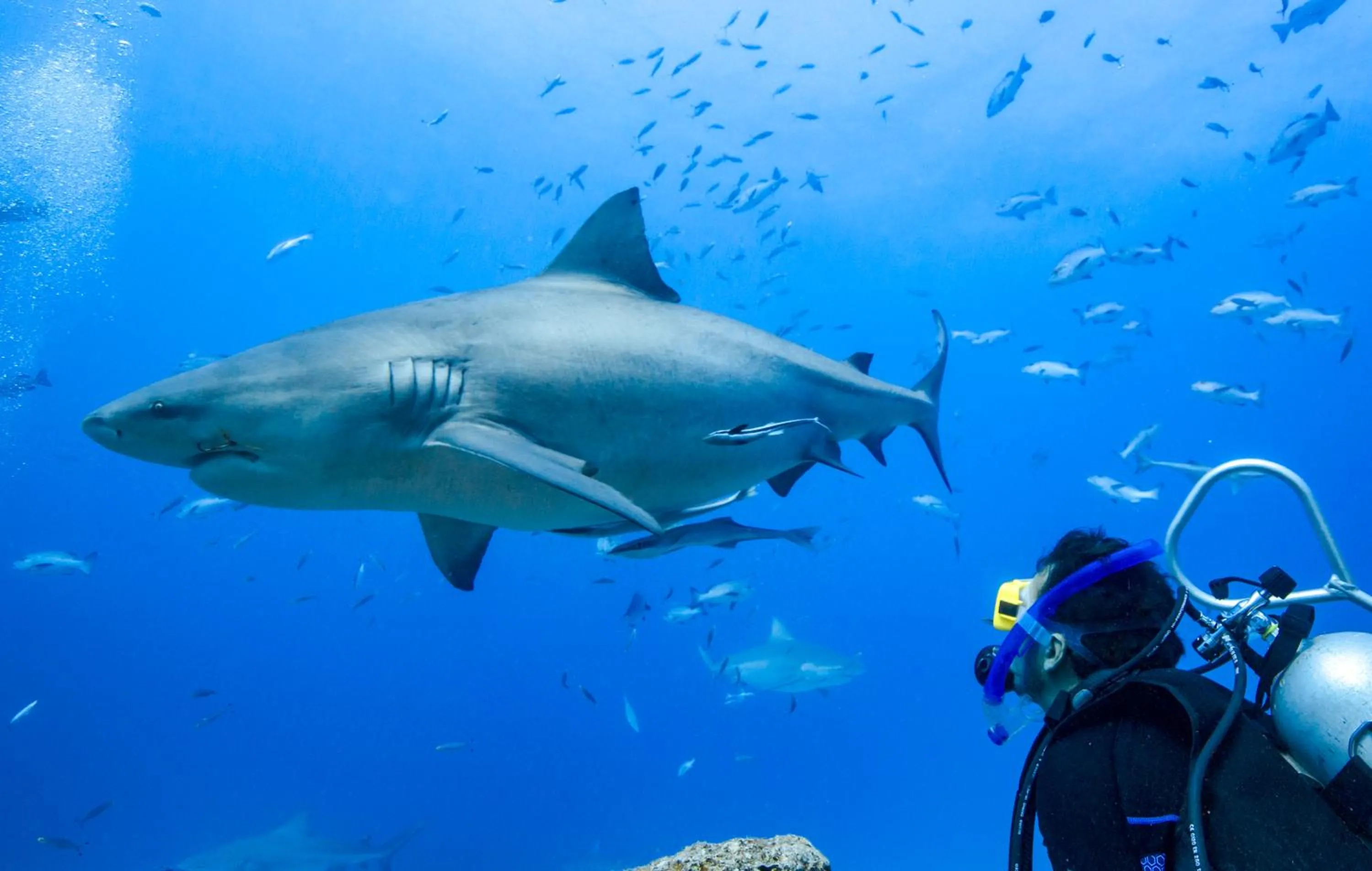 Barefoot Kuata Island Resort