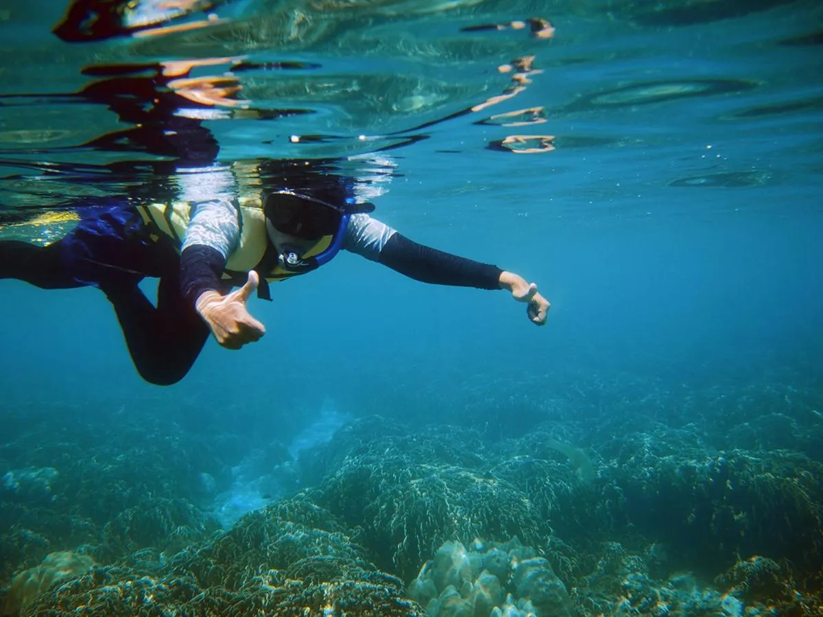 Snorkeling in Coco Beach Bungalows