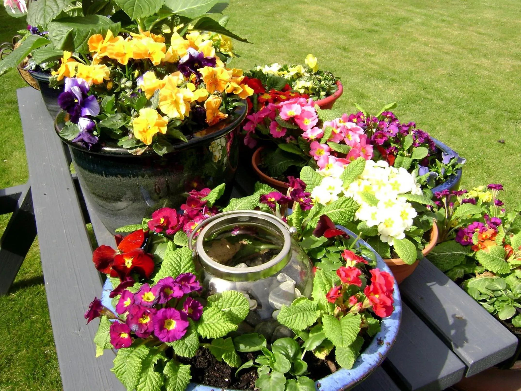 Spring in Broadview Motel