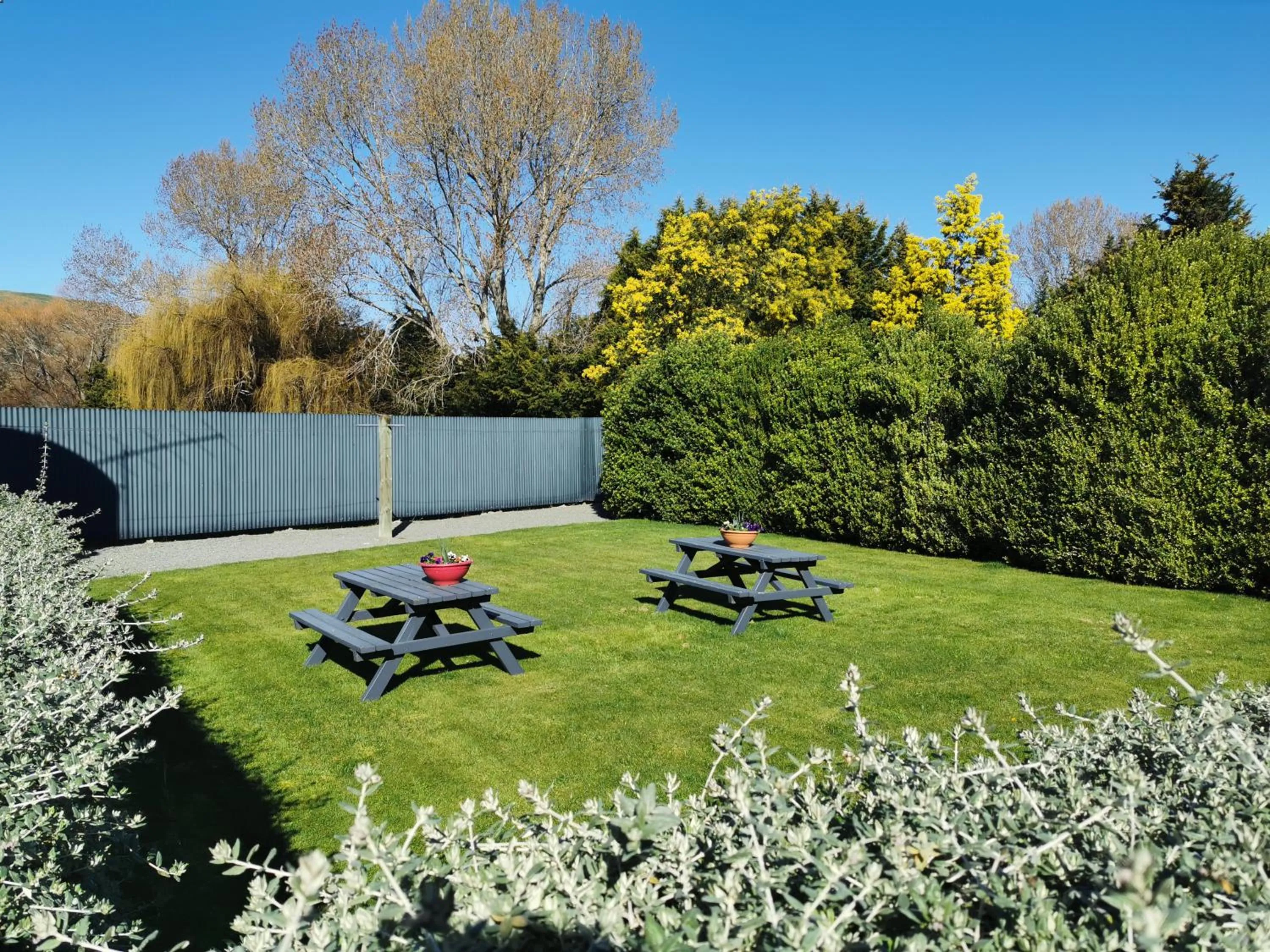 Property building in Broadview Motel