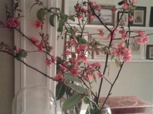 Lobby or reception in Maison d'Eclaibes