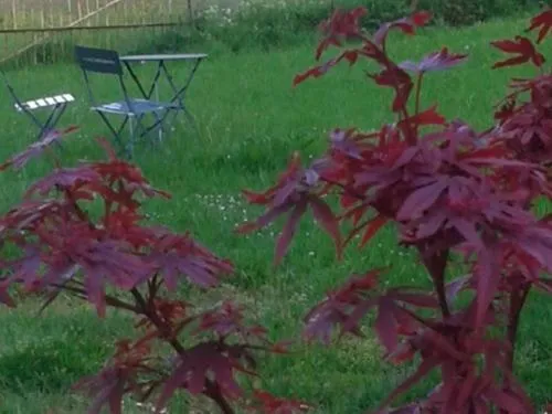 Property building in Maison d'Eclaibes