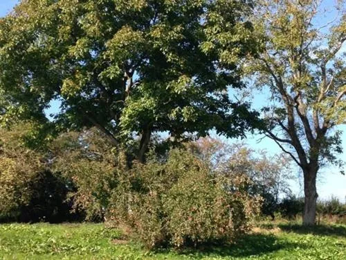 Property building in Maison d'Eclaibes