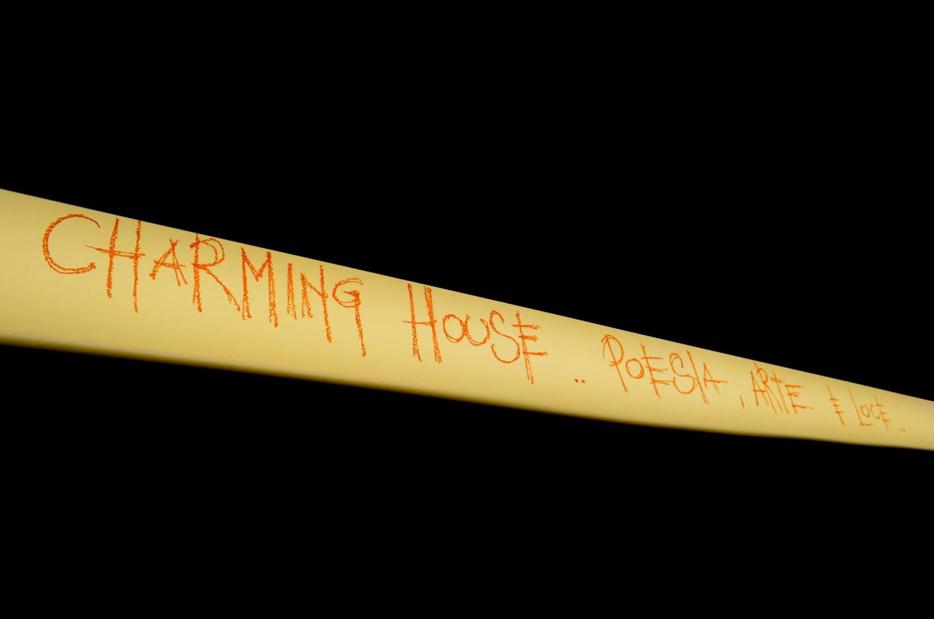 Decorative detail in Charming House DD724