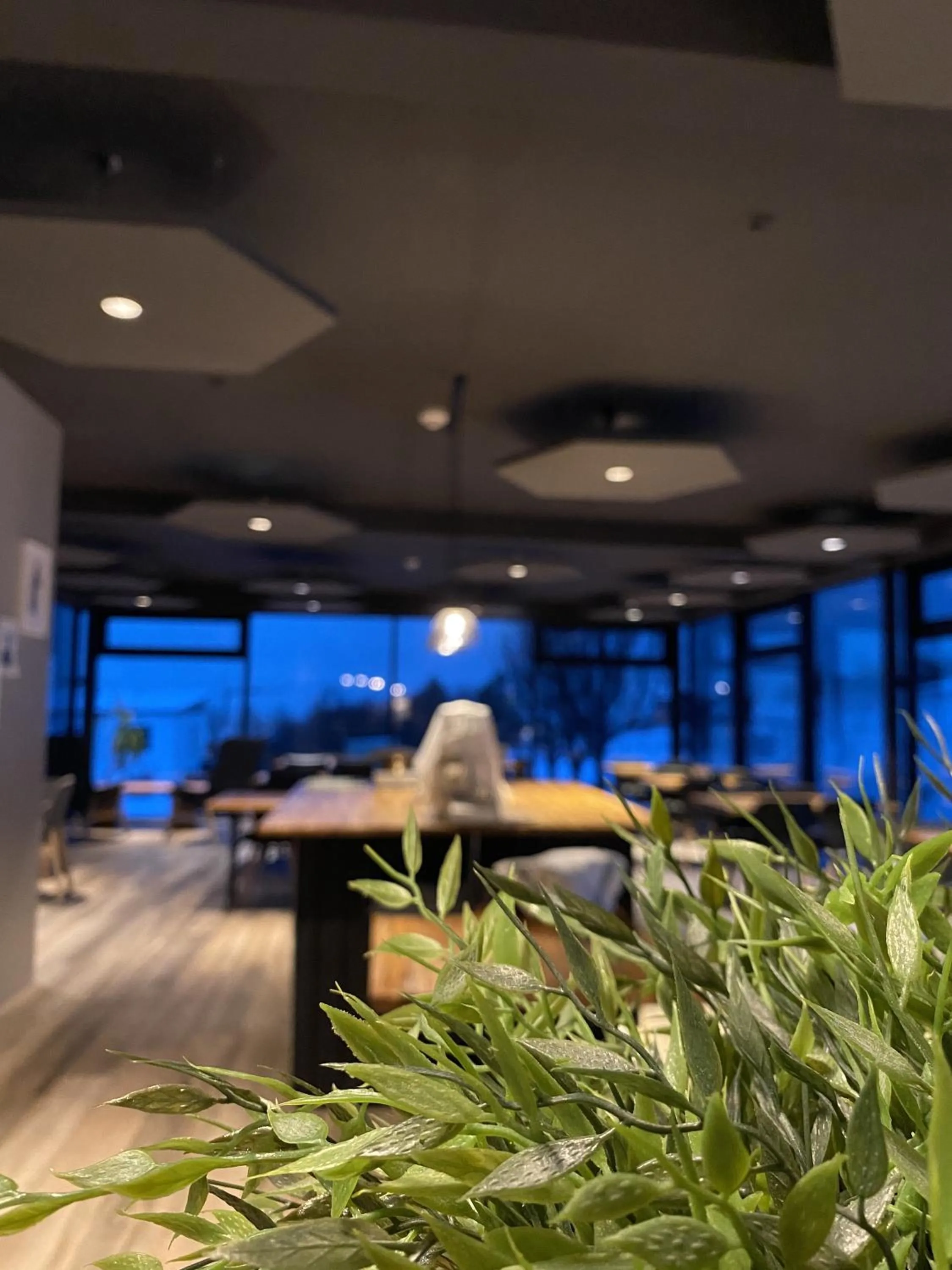 Seating area in Guesthouse Carina