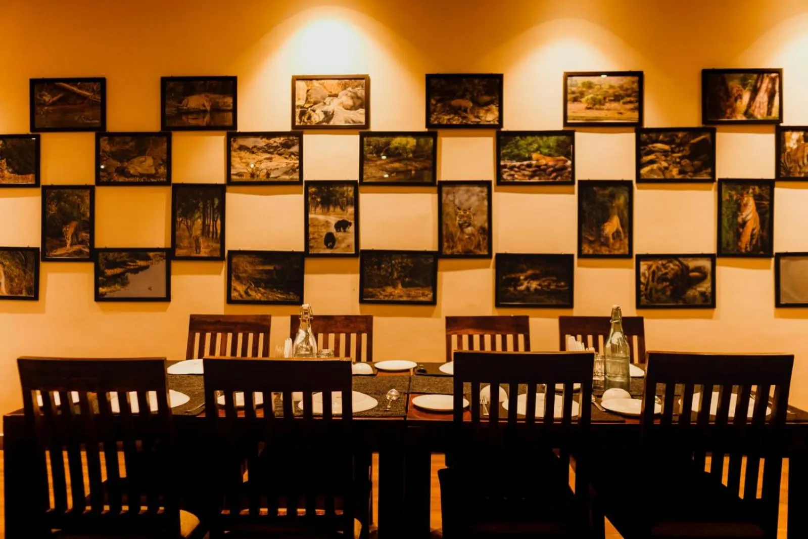 Dining area in Greetoe Camp Panna
