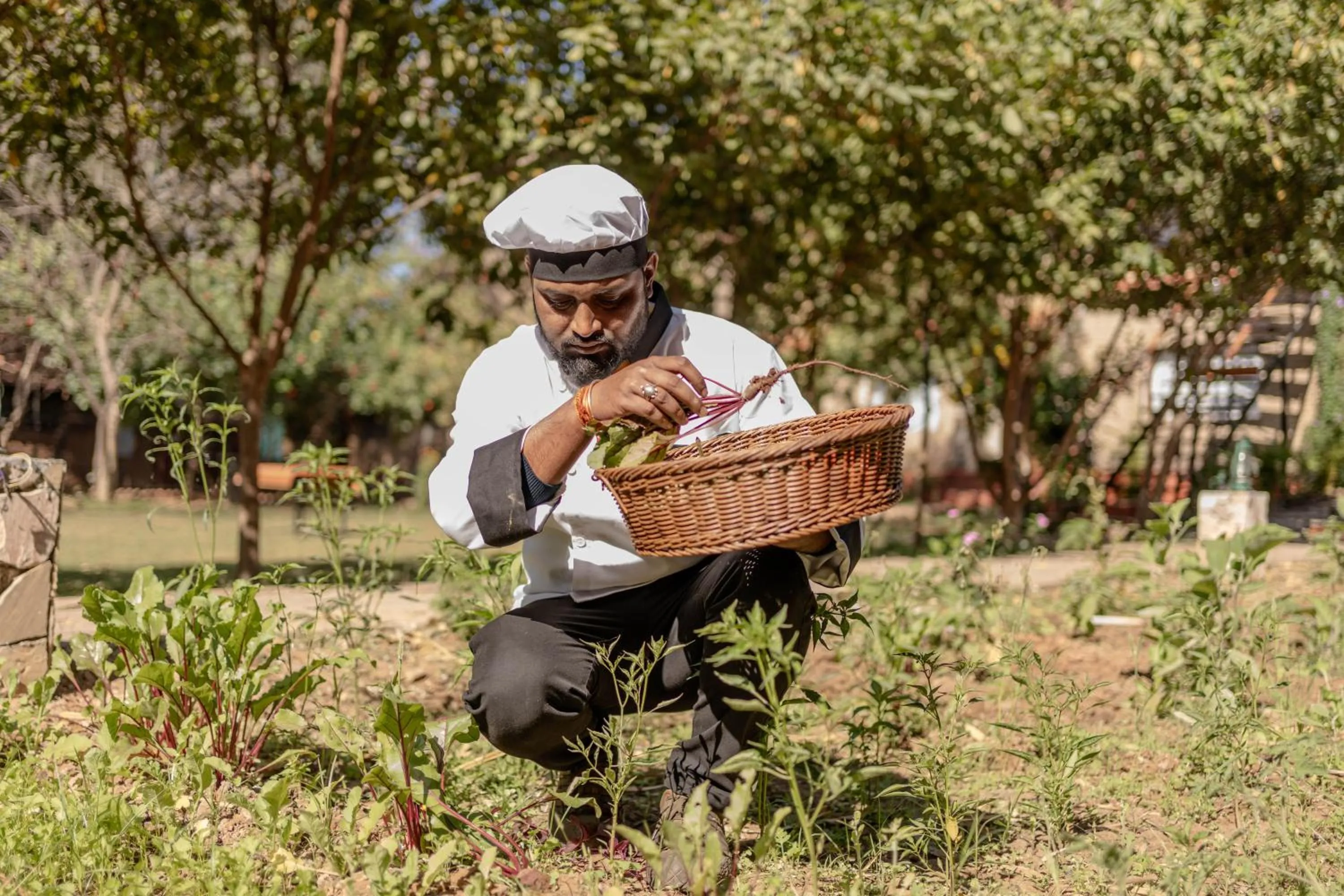 View (from property/room) in Greetoe Camp Panna