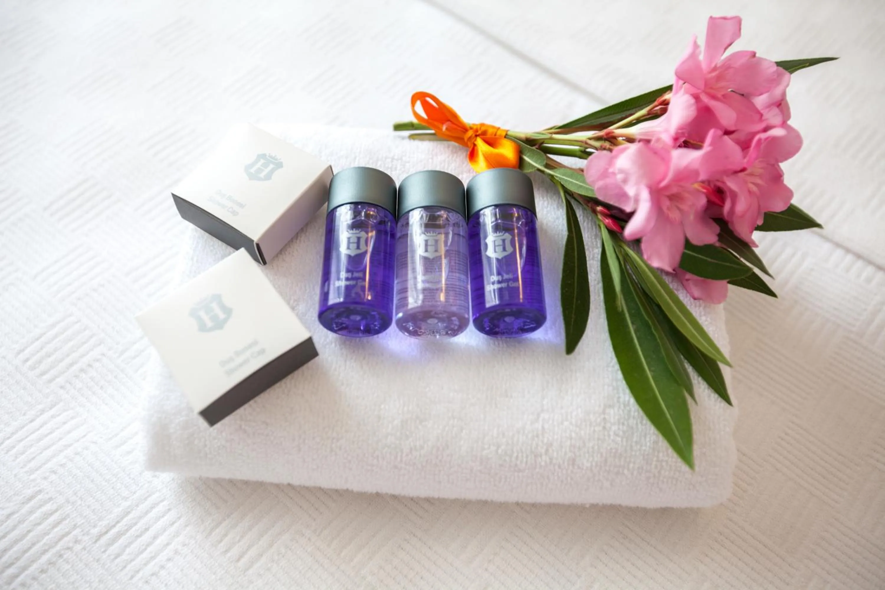 Shower in Galley Hotel