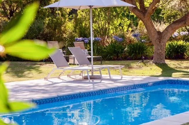 Swimming pool in Mo & Rose's Nature Retreat