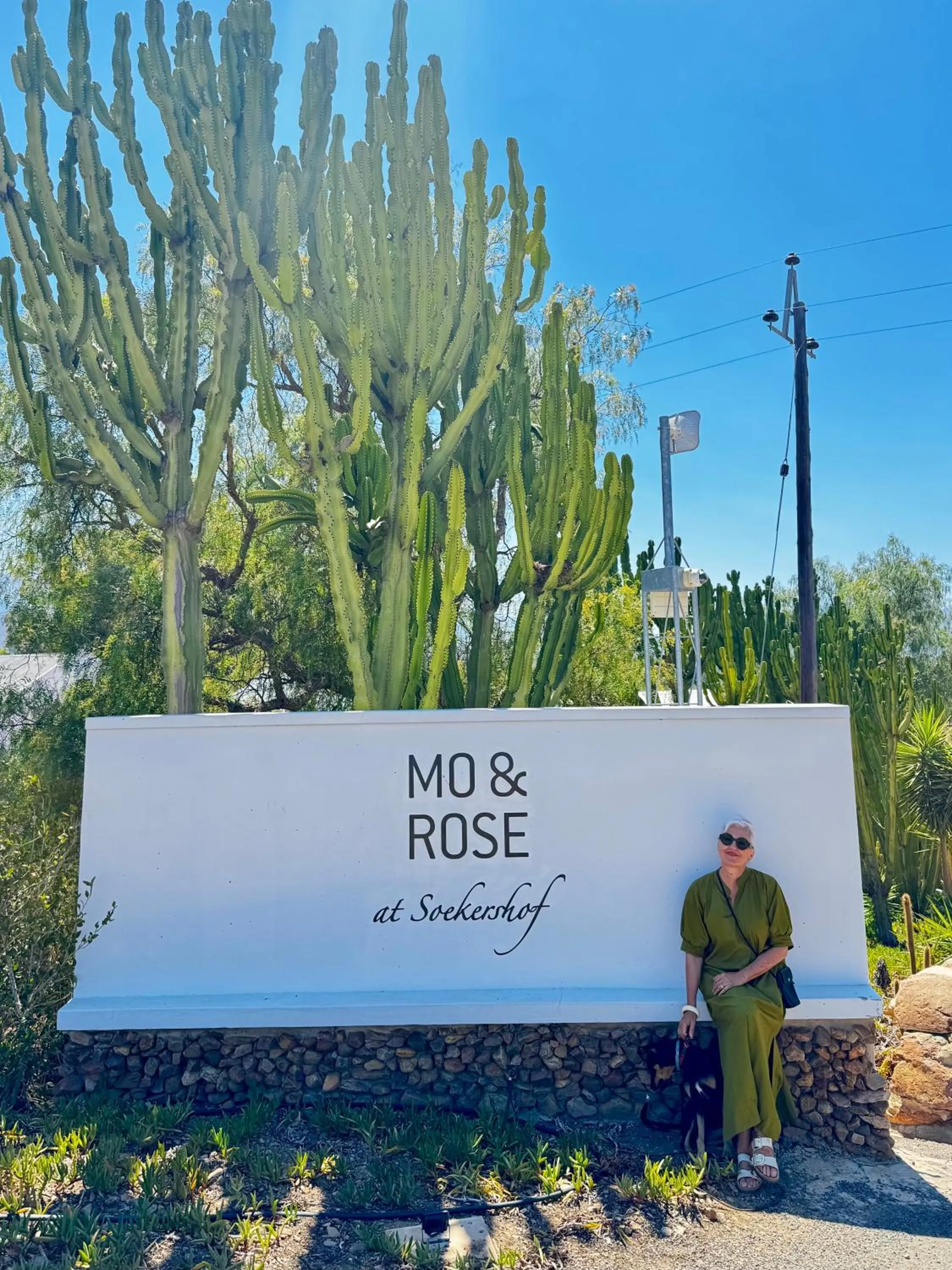 Facade/entrance in Mo & Rose's Nature Retreat