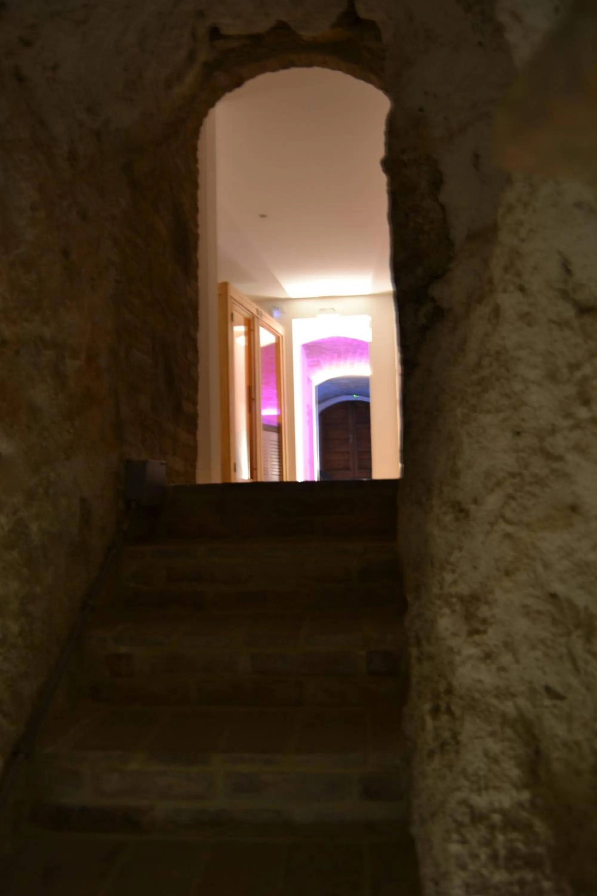 Spa and wellness centre/facilities in Albergo Il Rientro