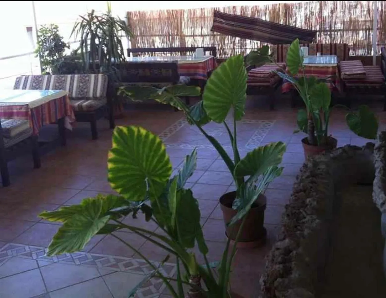 Balcony/Terrace in Denizhan Hotel