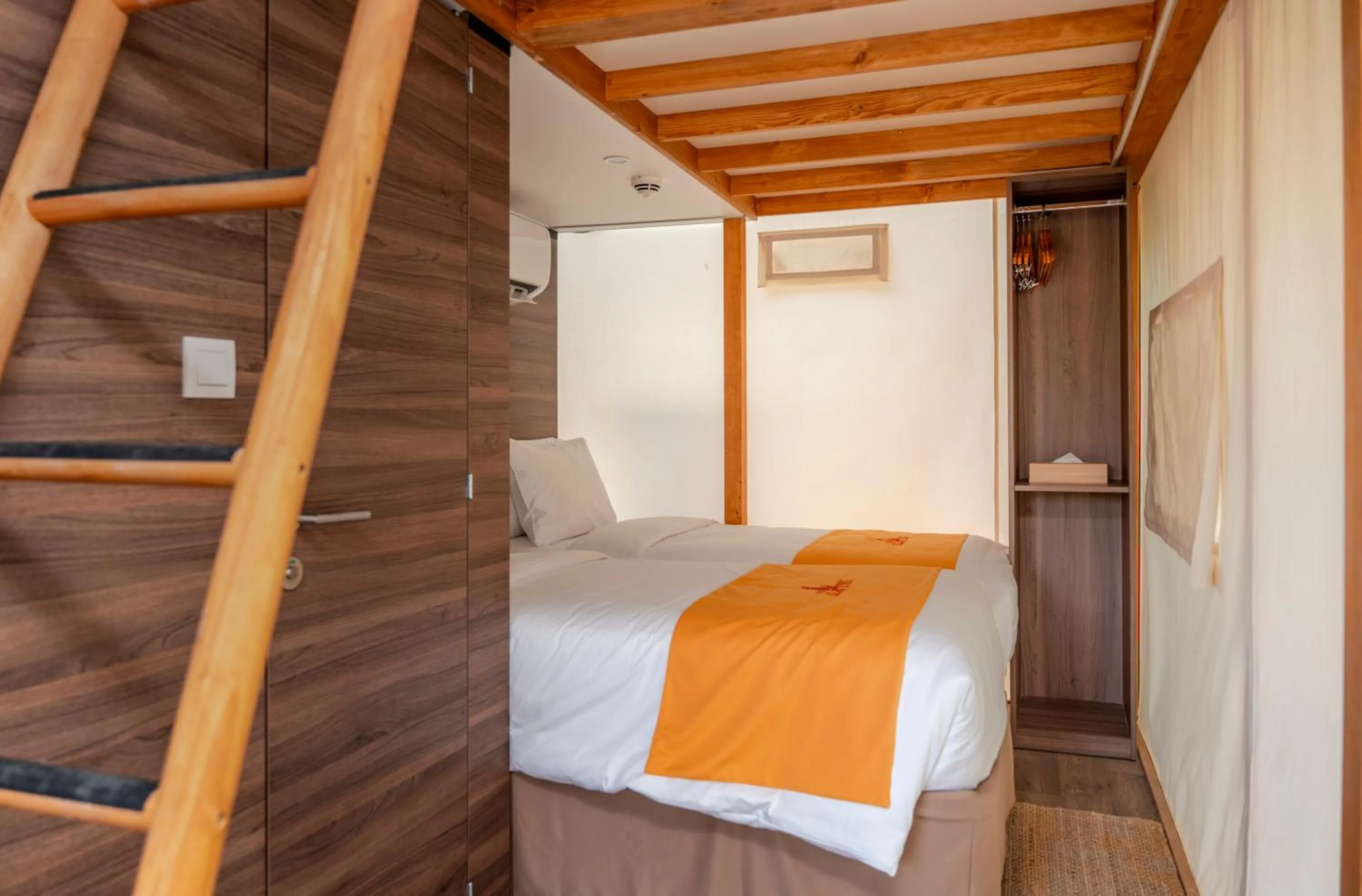 Bed in T-Rex Glamping, Including Free Access to Dubai Parks and Resorts