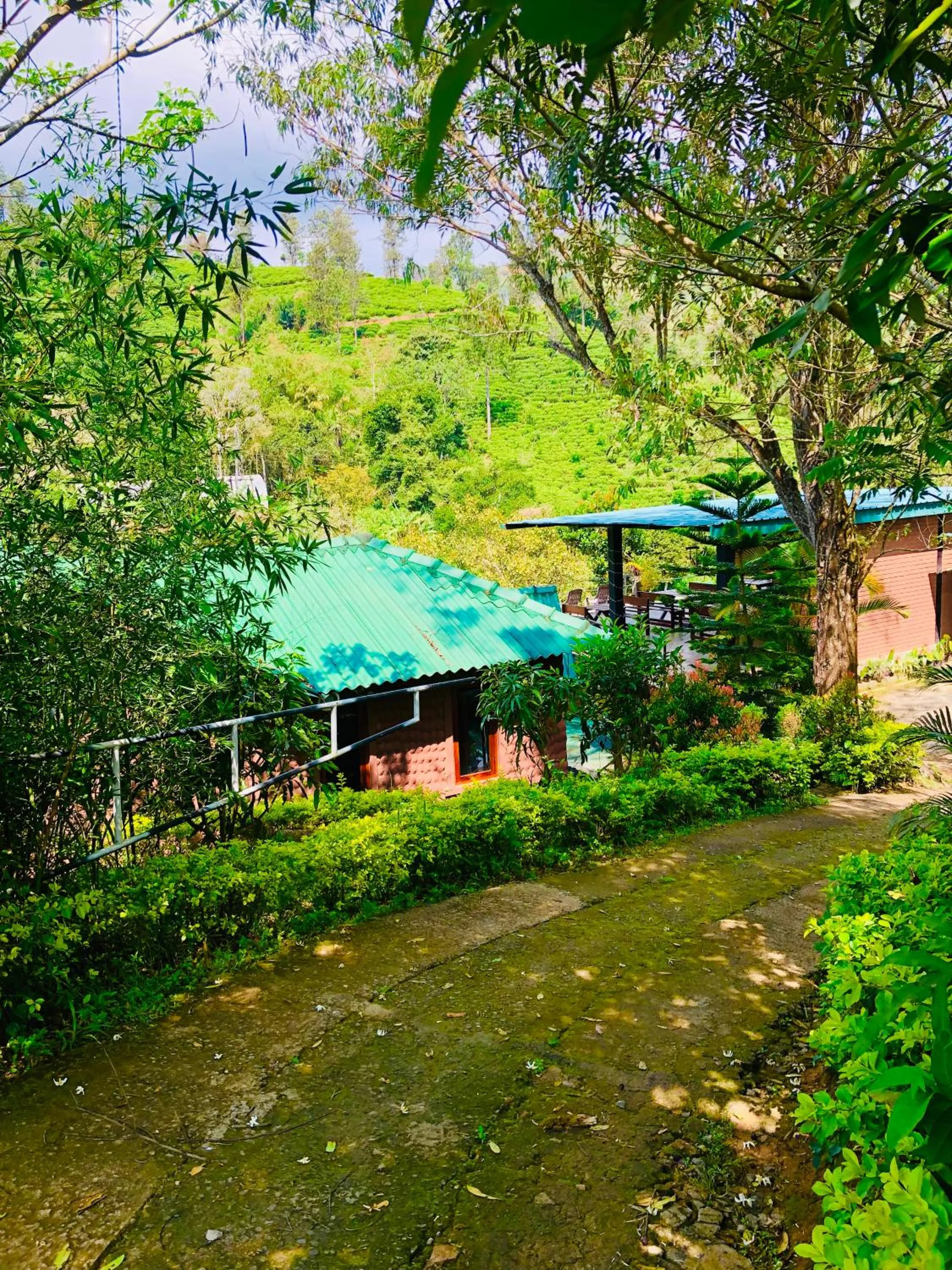 Property building in Wild Resort Ella
