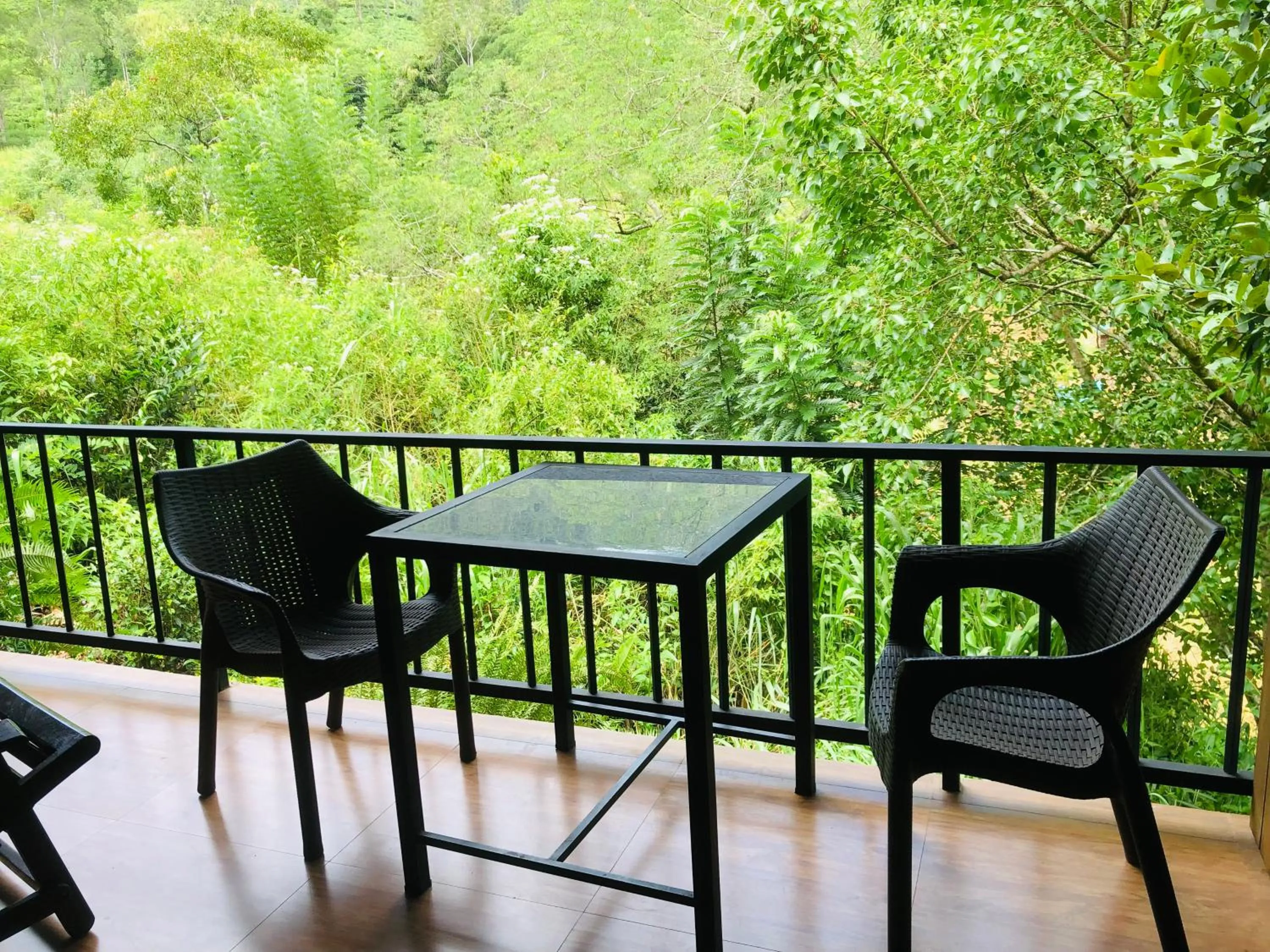 View (from property/room) in Wild Resort Ella