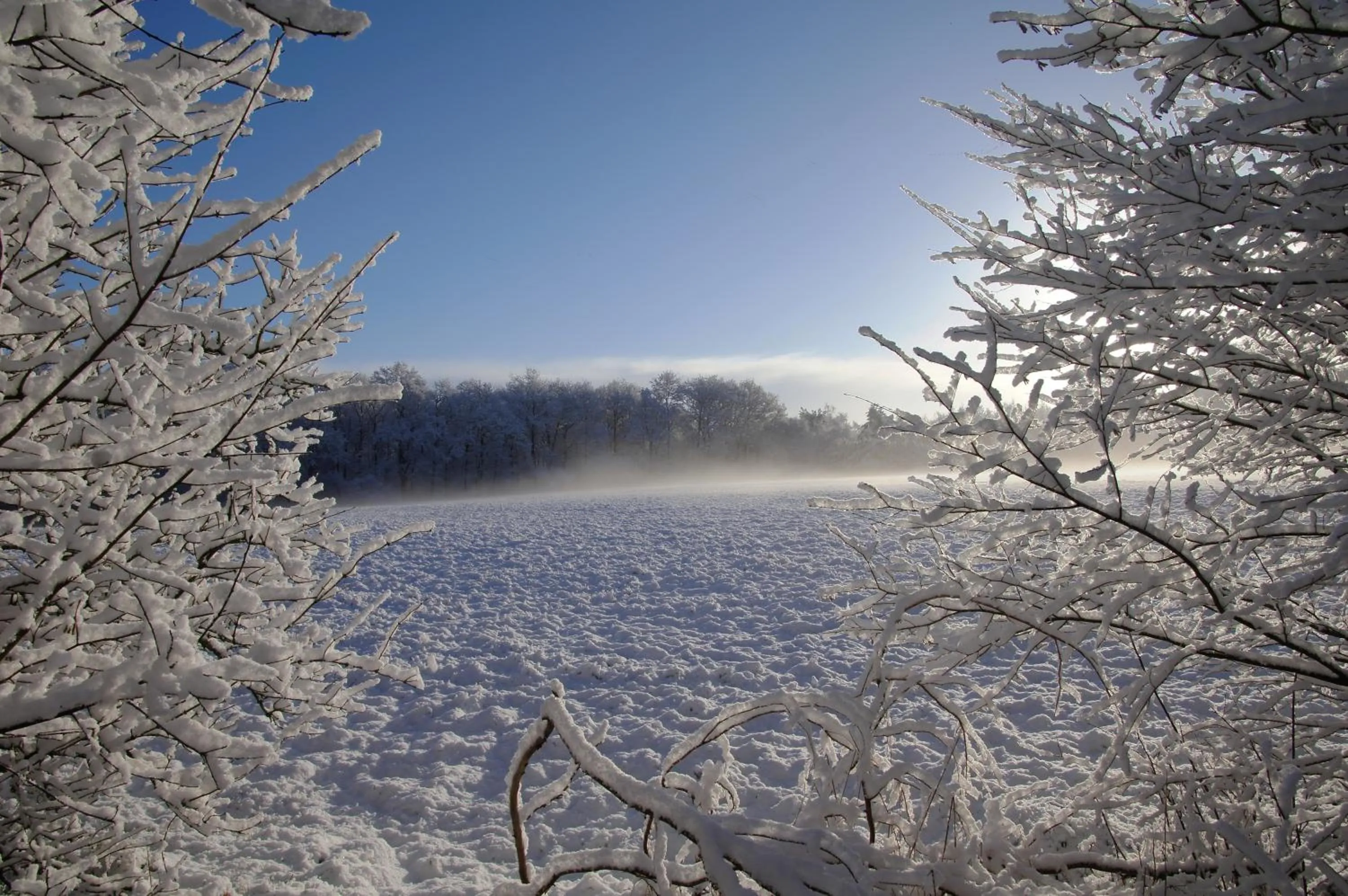 Winter in 't Skoallehus