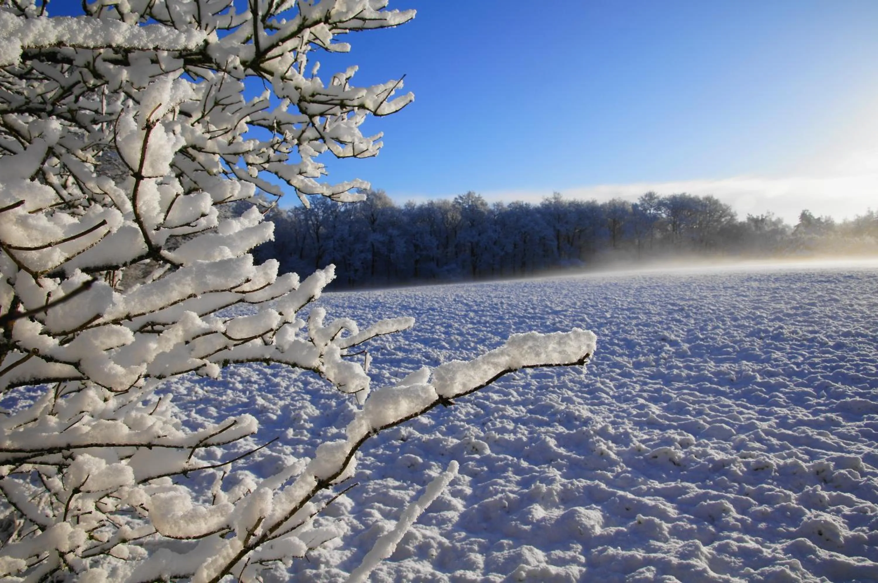 Winter in 't Skoallehus