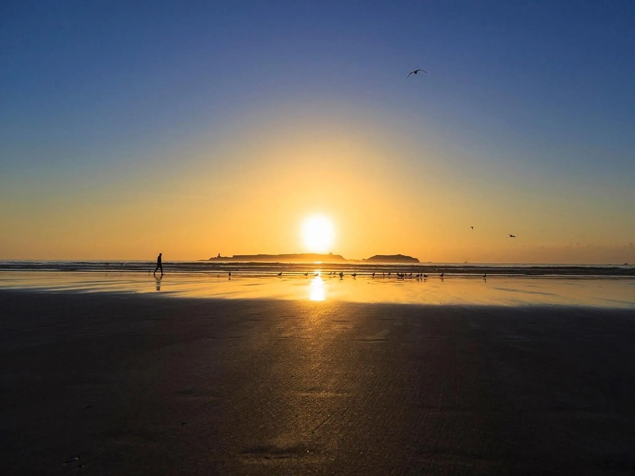 Sea view in Villa Quieta