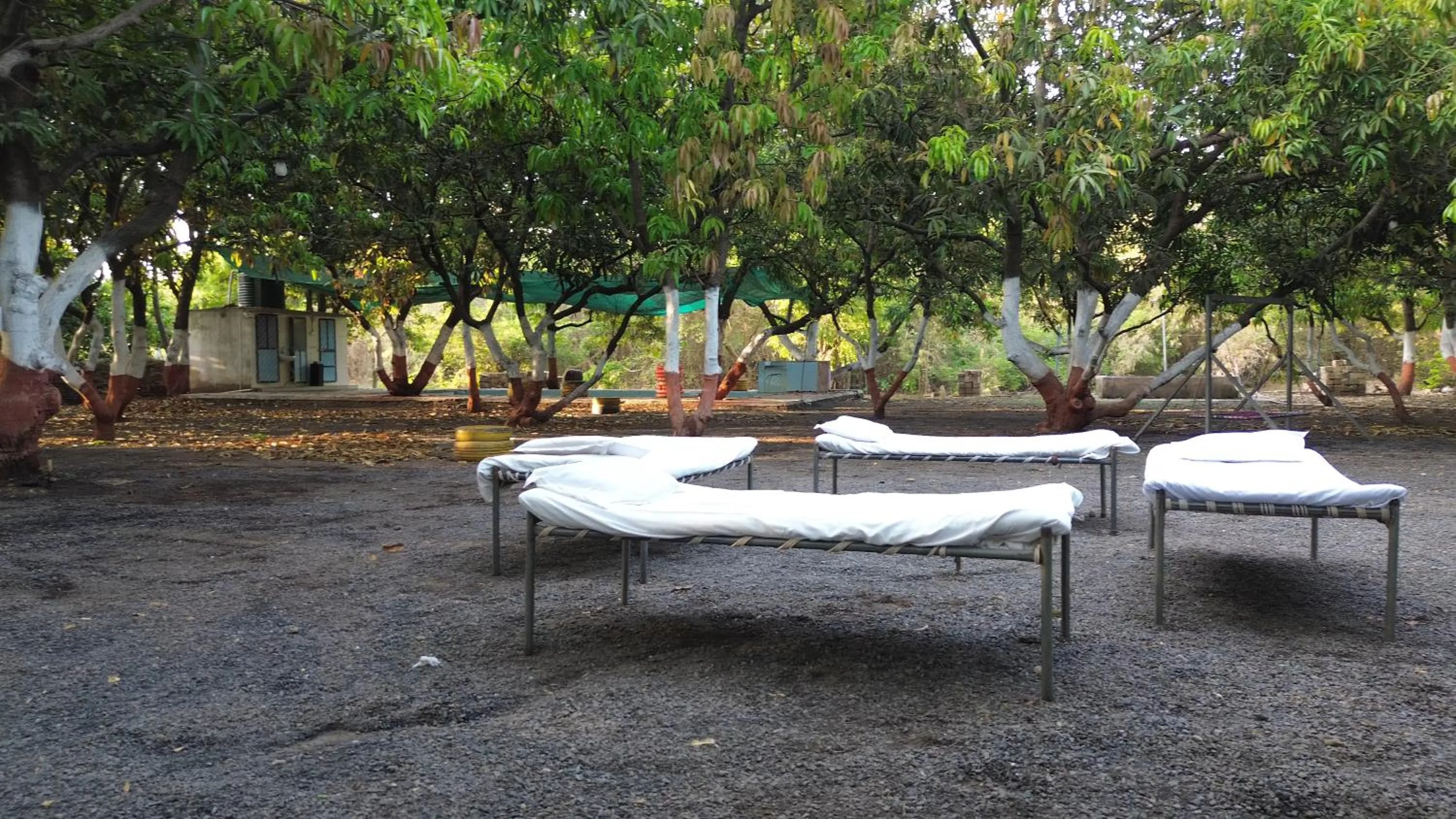 The Wilds Villa Gir Jungle Stay with Swimming Pool