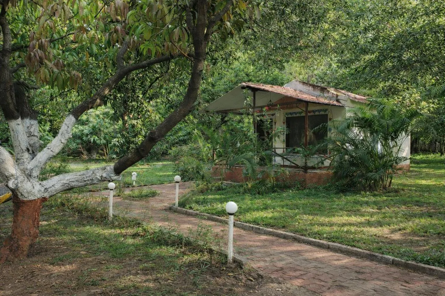 Property building in The Wilds Villa Gir Jungle Stay with Swimming Pool