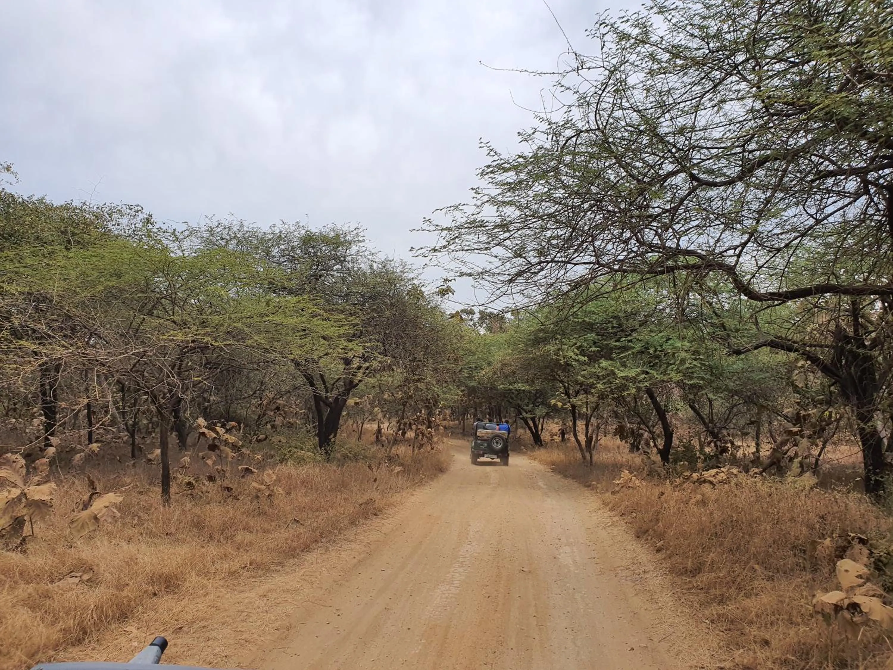 The Wilds Villa Gir Jungle Stay with Swimming Pool