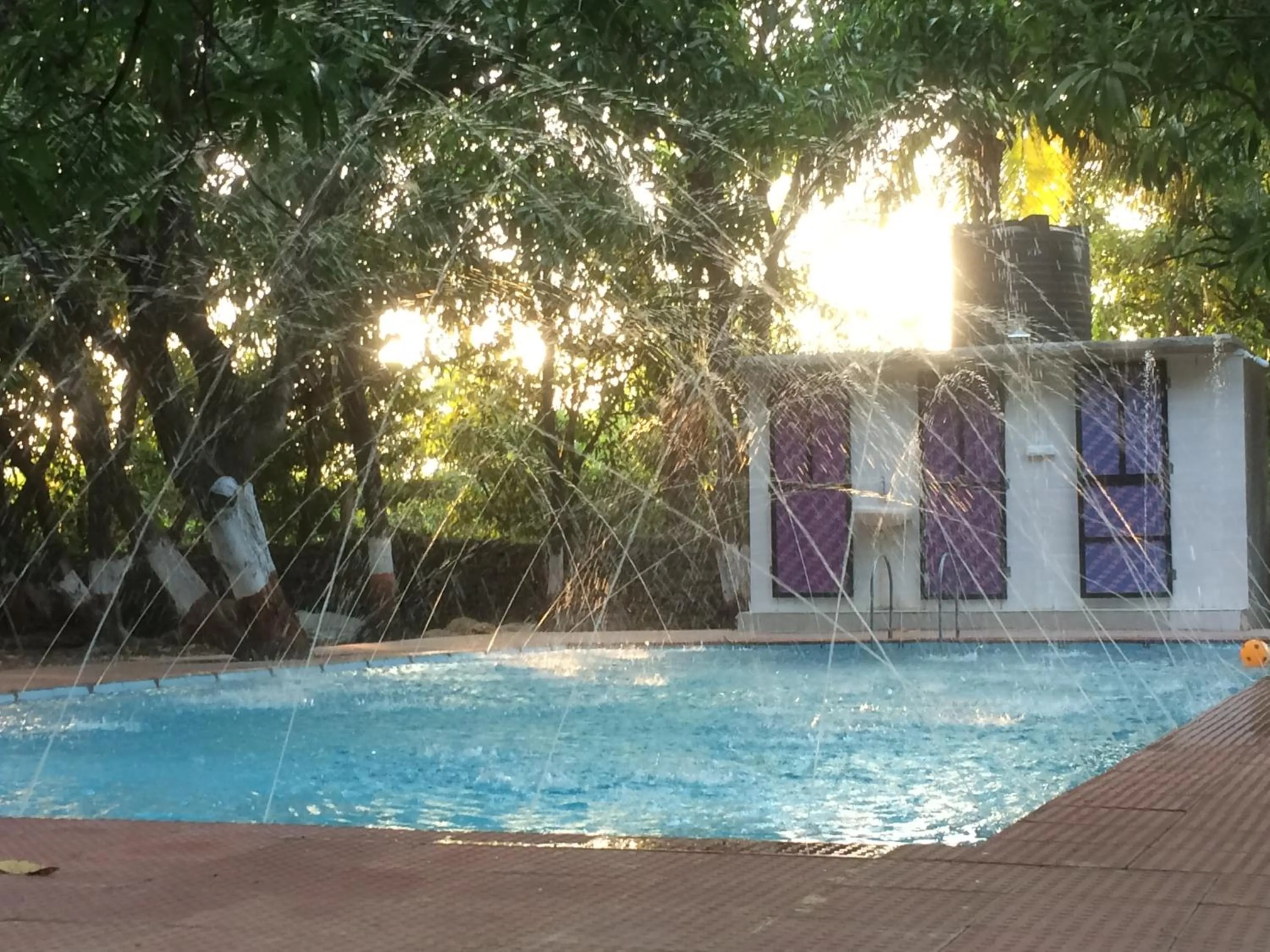 The Wilds Villa Gir Jungle Stay with Swimming Pool