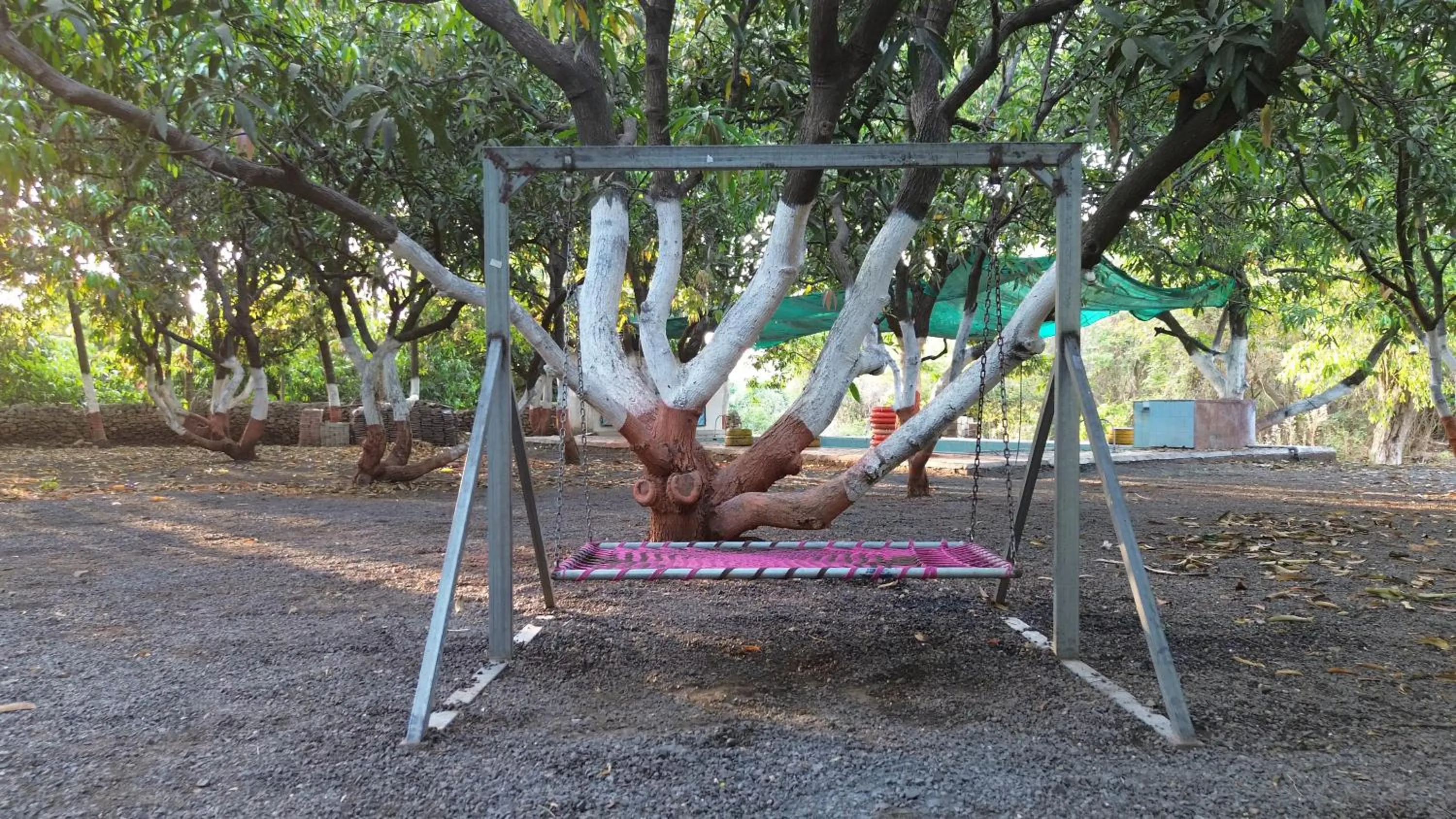 The Wilds Villa Gir Jungle Stay with Swimming Pool