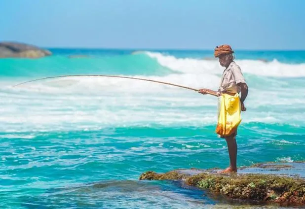 Activities in Garcinia Leaf