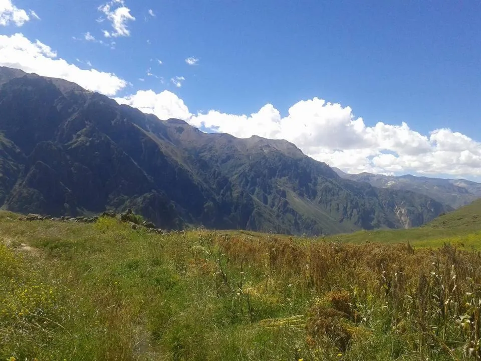 Property building in Arum Qurpawasi Hospedaje