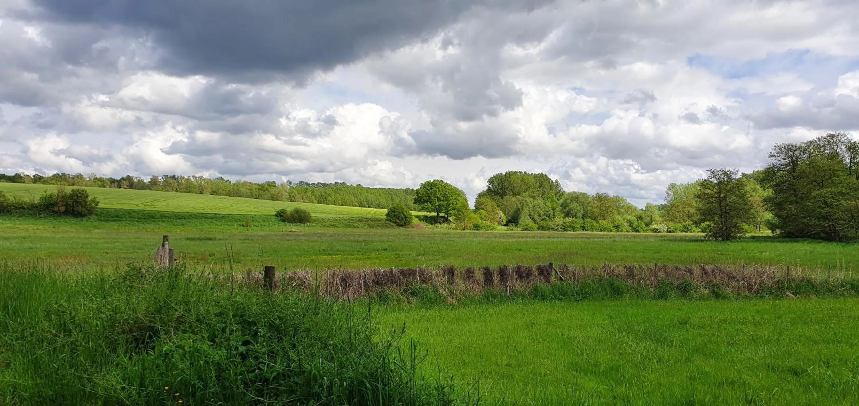 Day in Guesthouse Biolleke