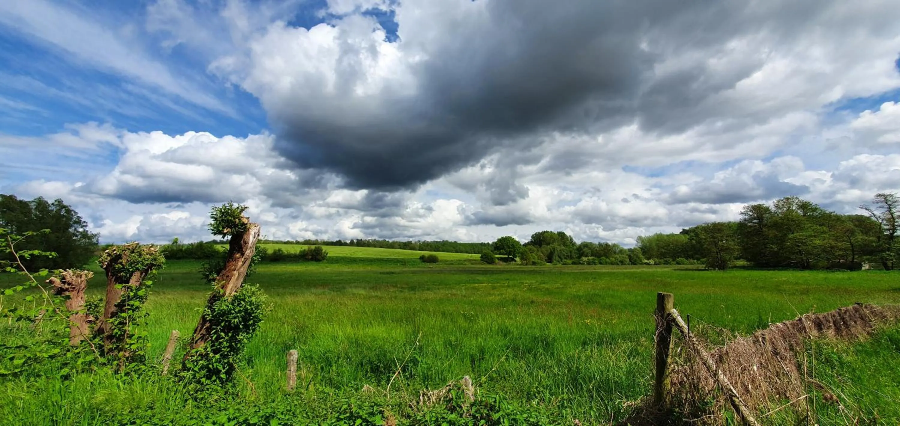 Day in Guesthouse Biolleke