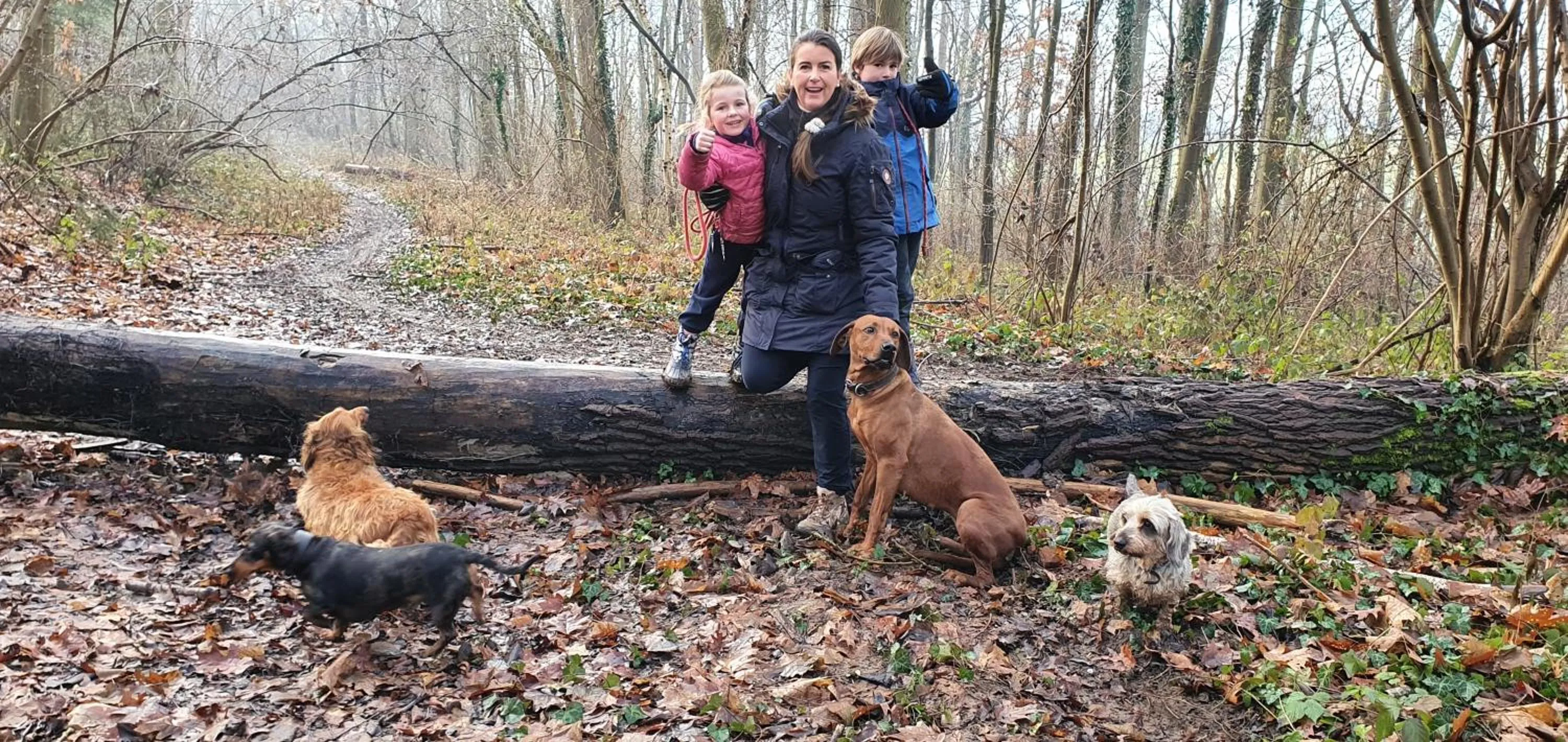 Neighbourhood in Guesthouse Biolleke
