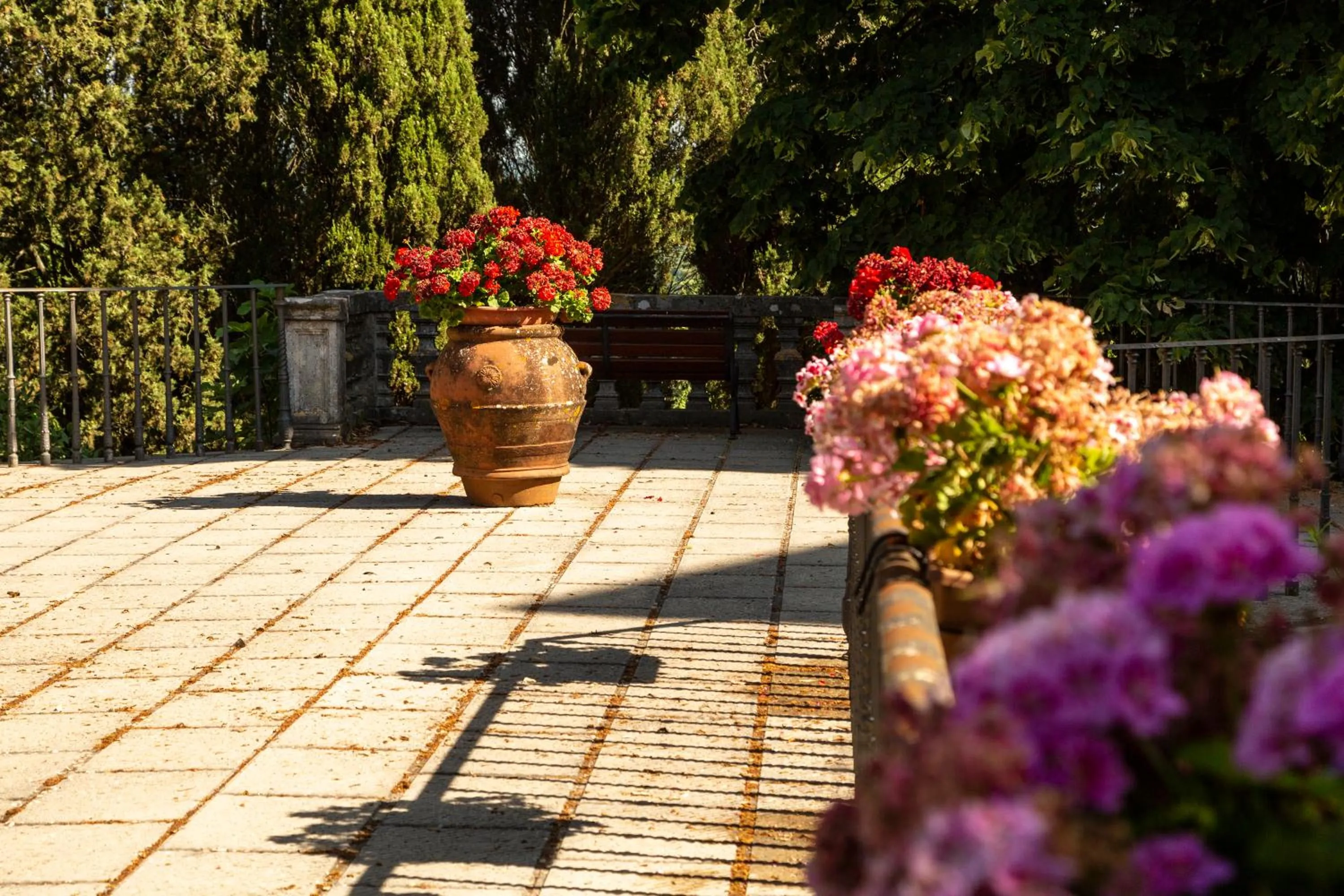 Garden in Villa Montarioso