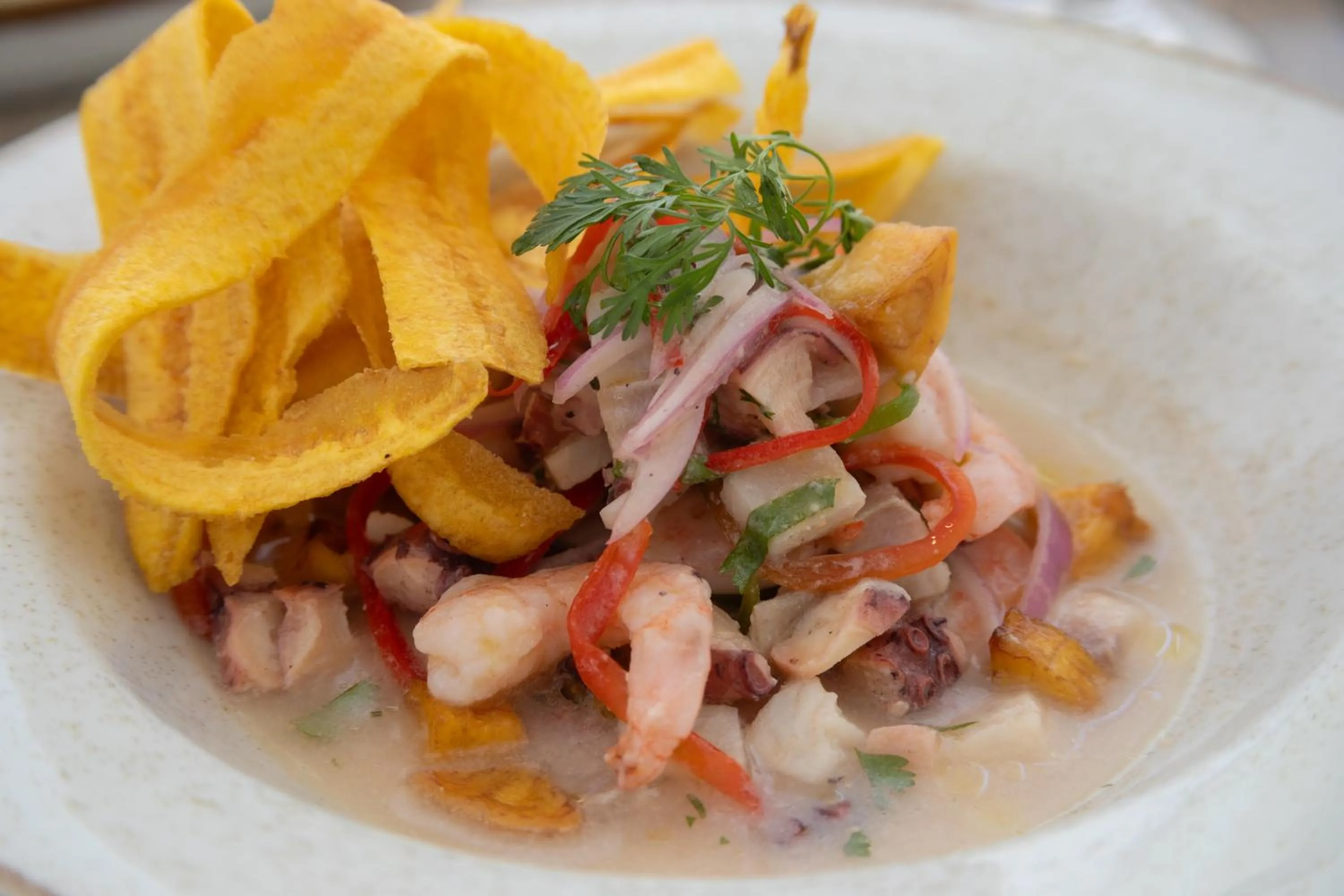 Restaurant/places to eat in Mercure Santa Marta Emile