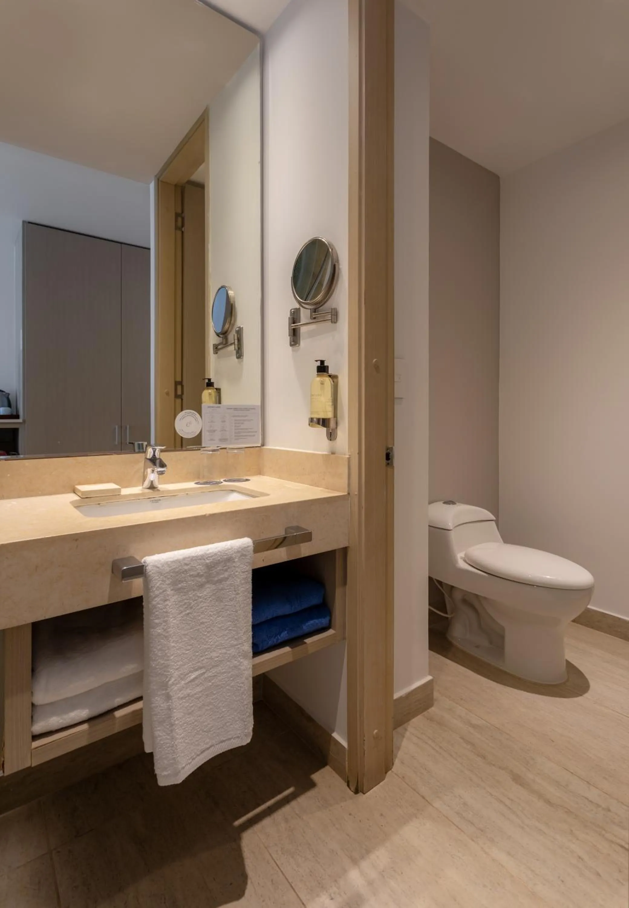 Toilet in Mercure Santa Marta Emile