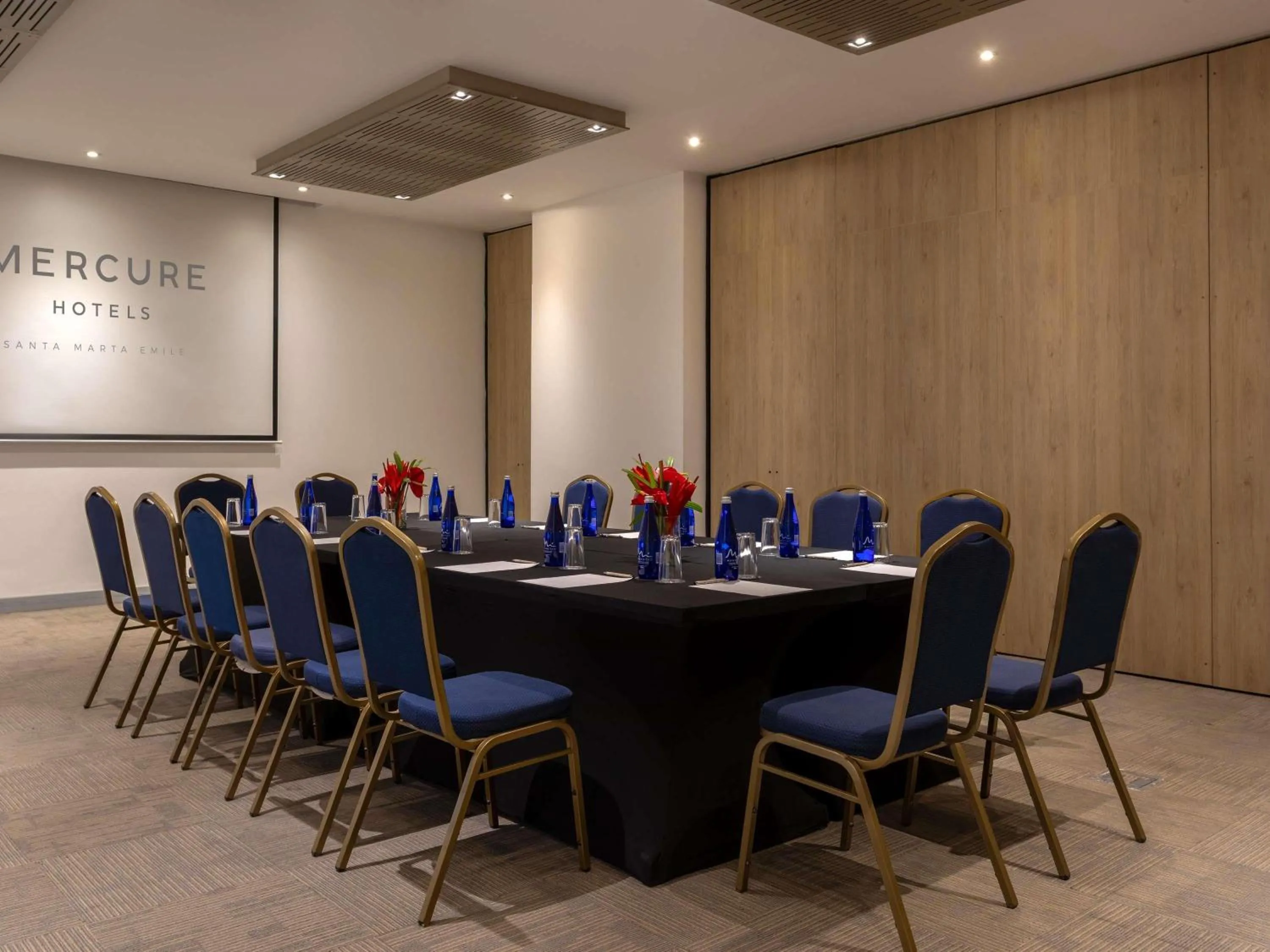 Meeting/conference room in Mercure Santa Marta Emile