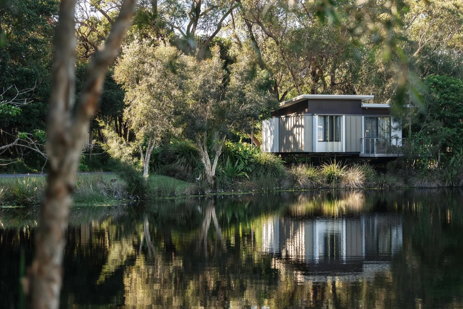 View (from property/room) in Elements Of Byron