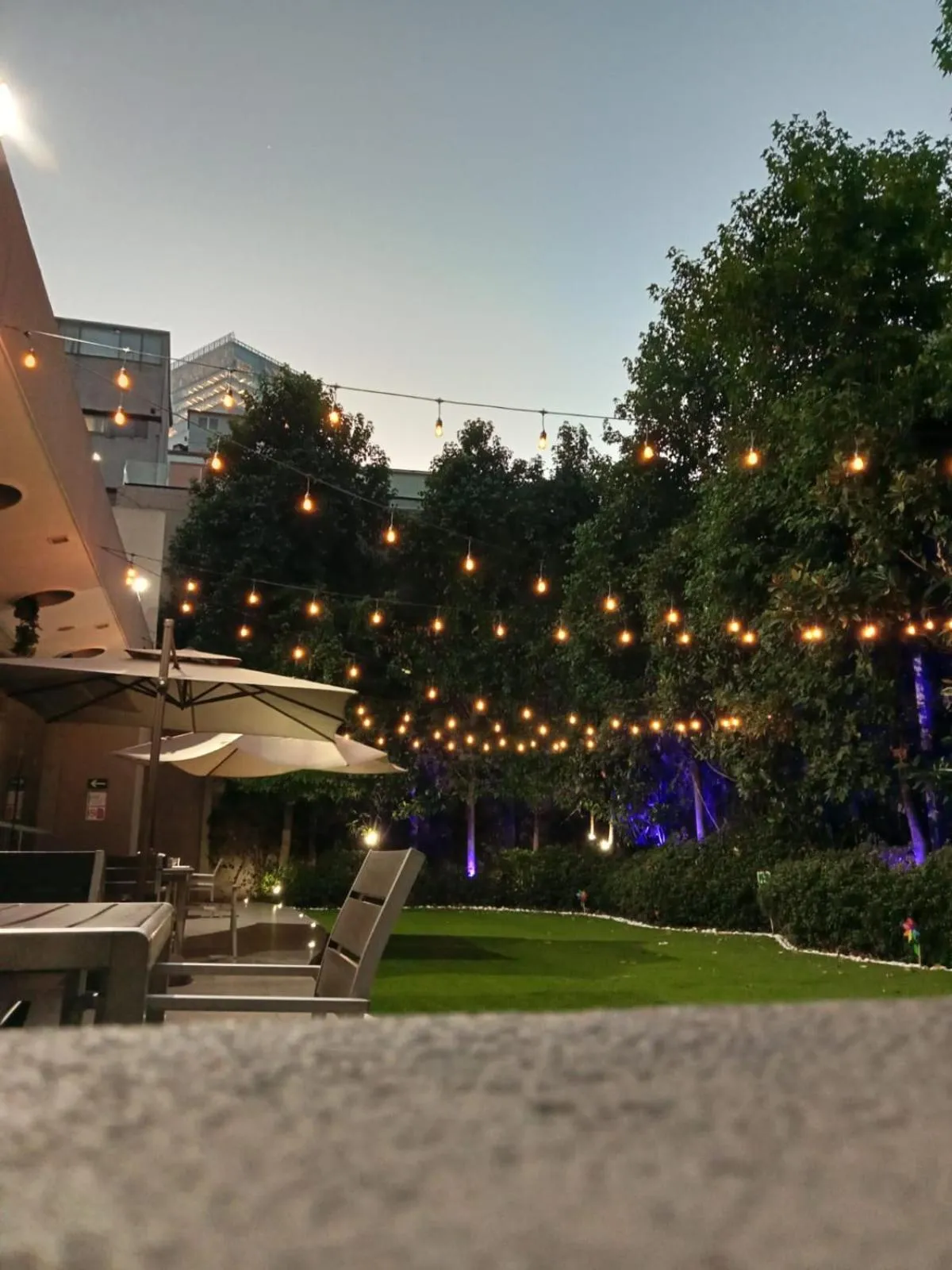 Garden in Ibis Mexico Alameda