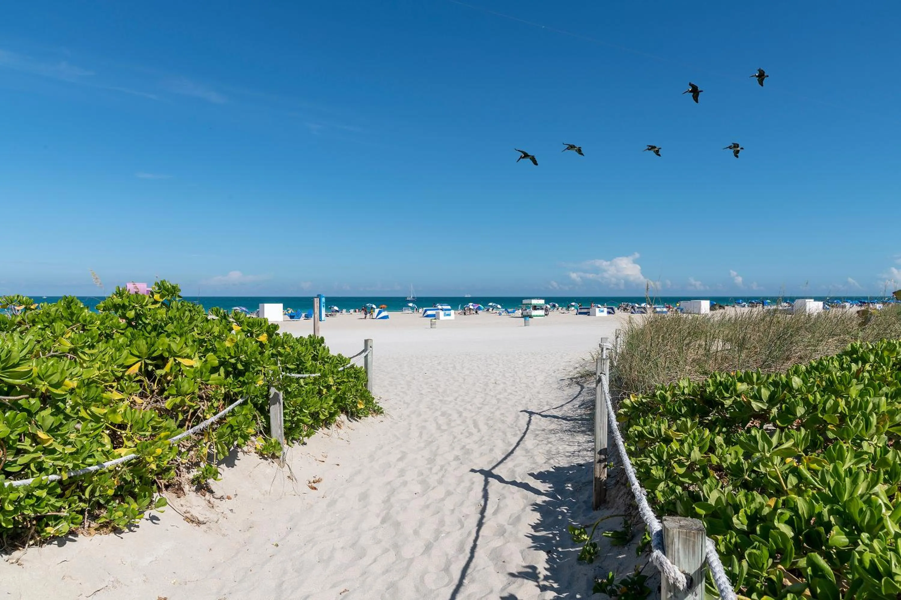 Beach in President Hotel Villa