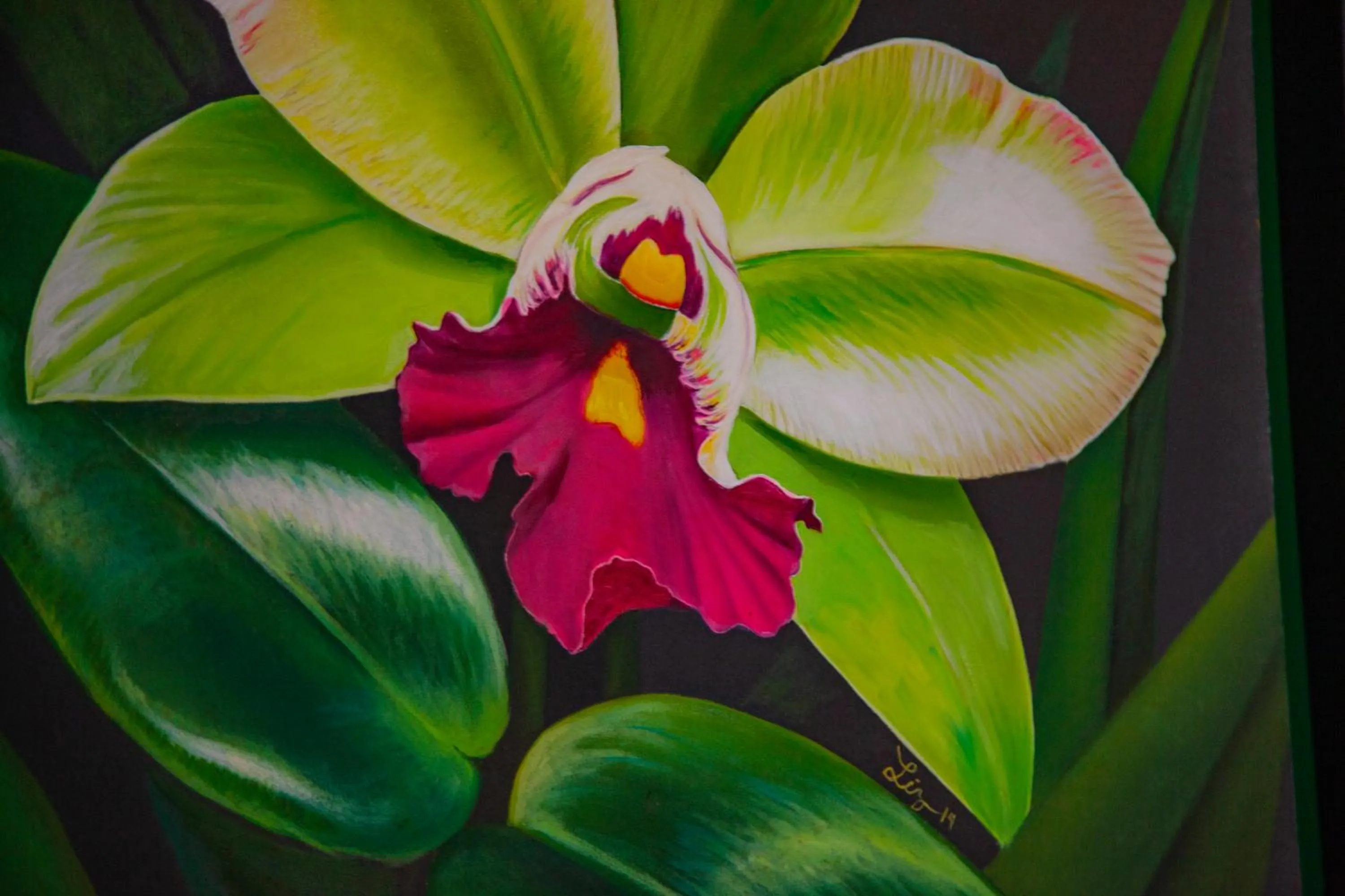 Decorative detail in Mestizo Gallery