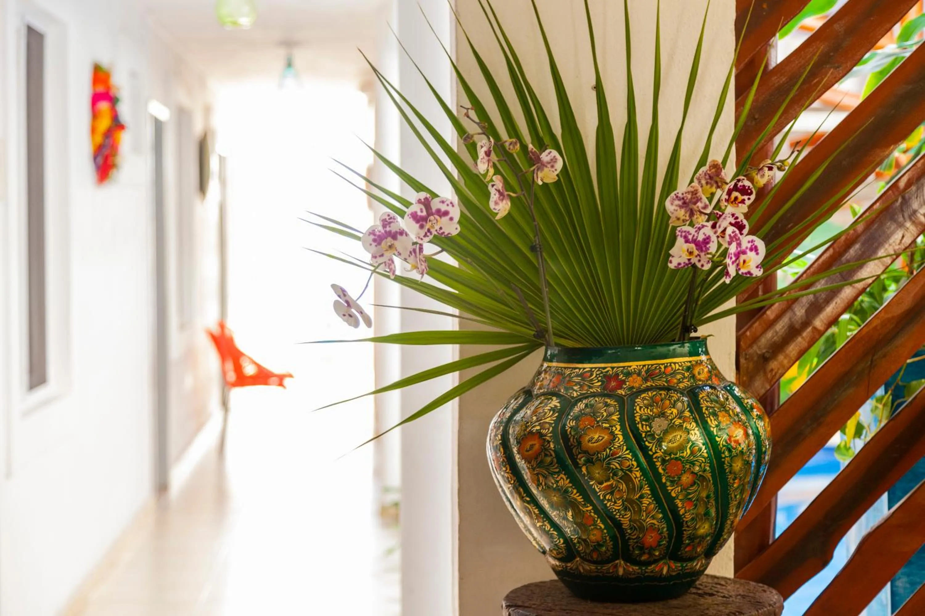 View (from property/room) in Mestizo Gallery