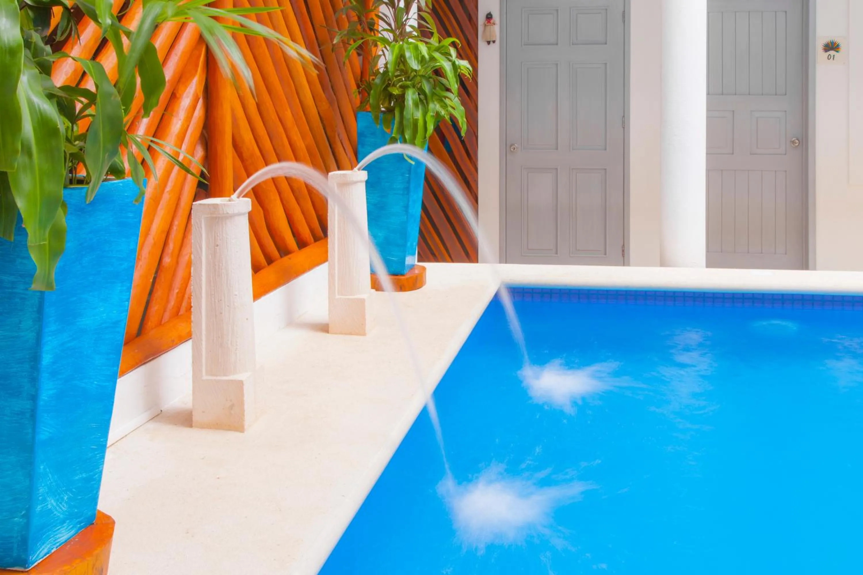 Swimming pool in Mestizo Gallery