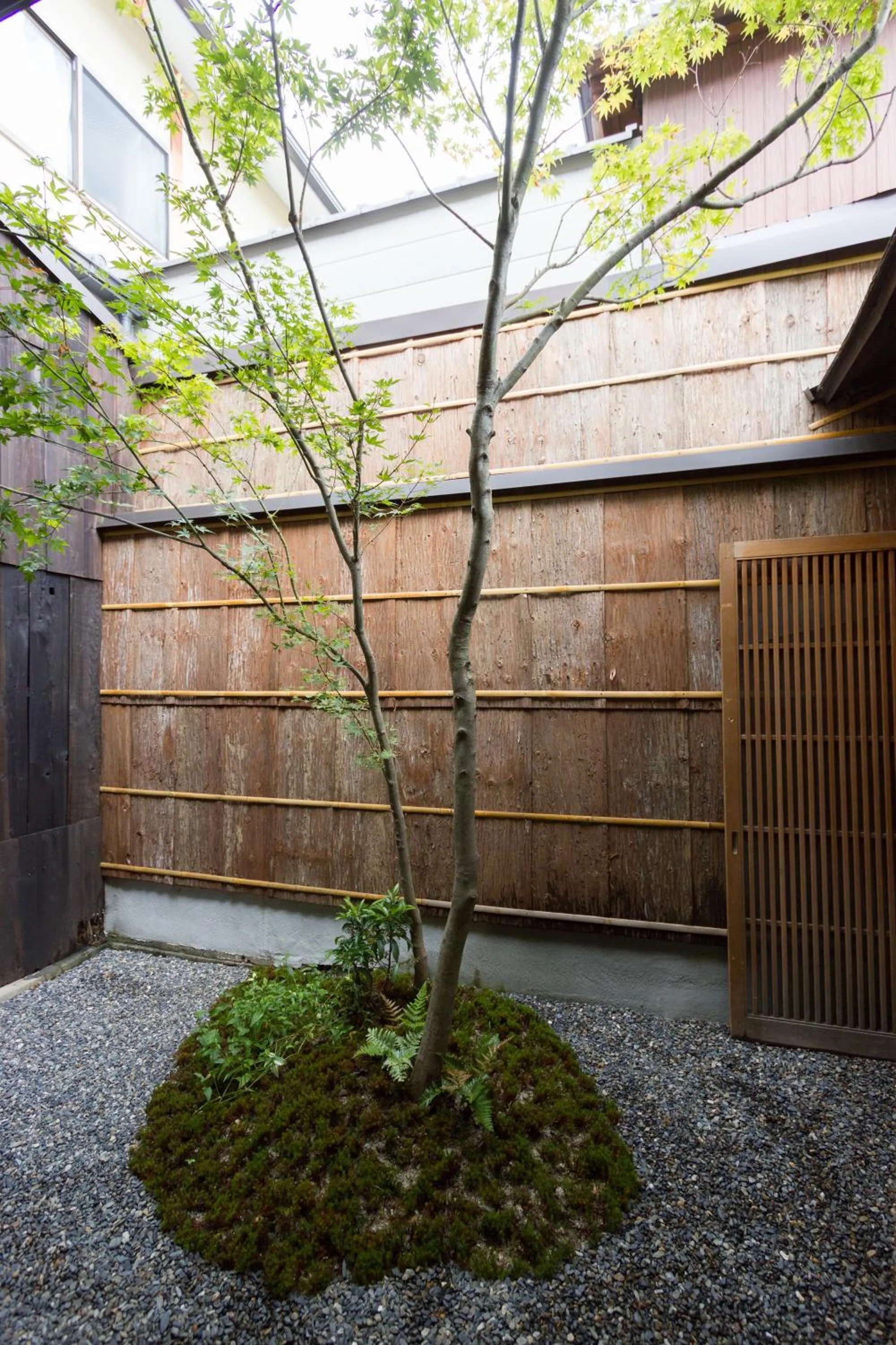Garden in Tsukikusa an Machiya House