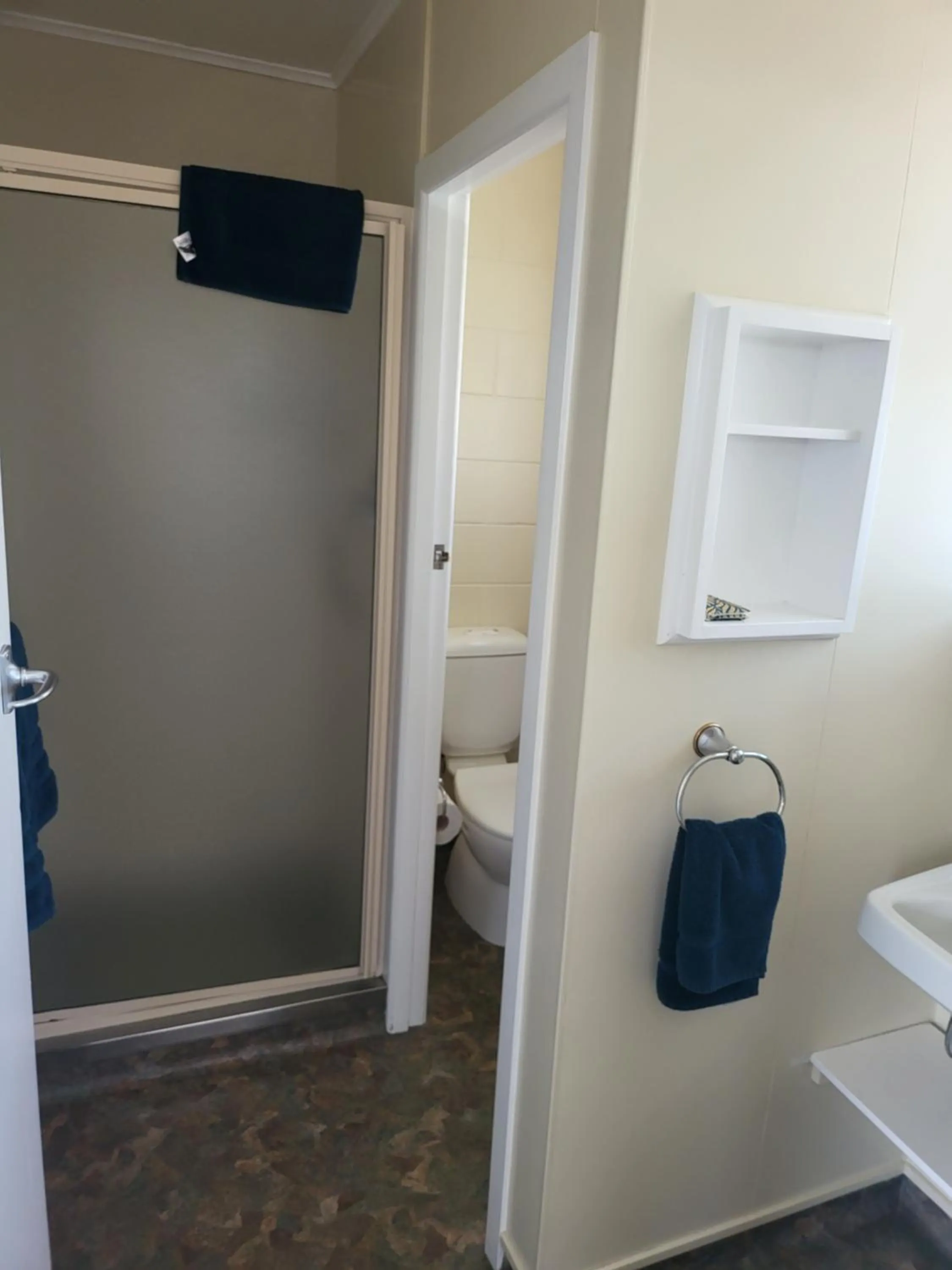 Toilet in Totara Lodge Motel