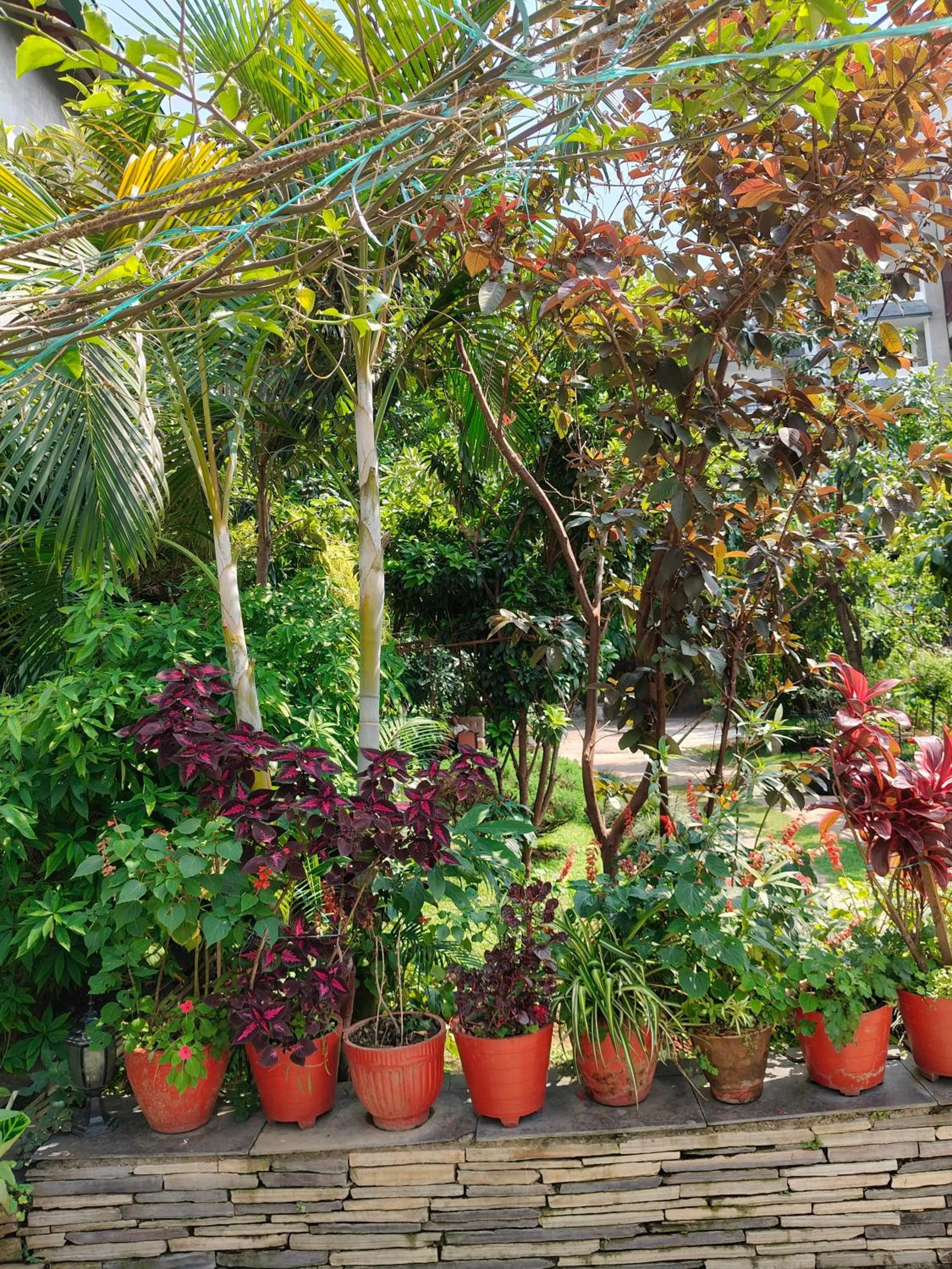 Hotel Bishram