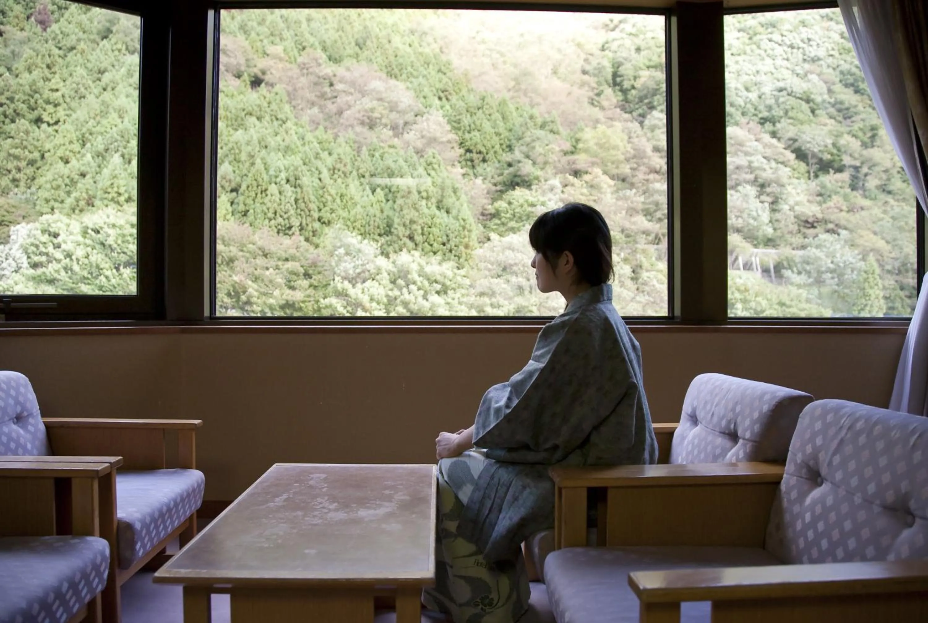 Photo of the whole room in Minakami Hotel Juraku