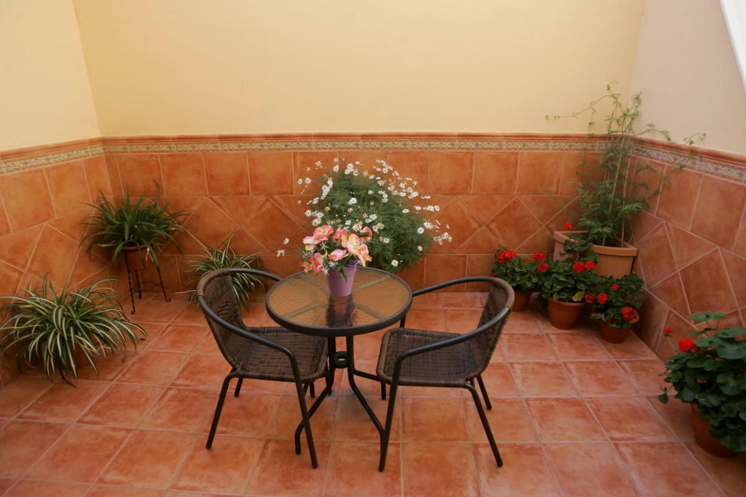 Balcony/Terrace in Hotel Goartín