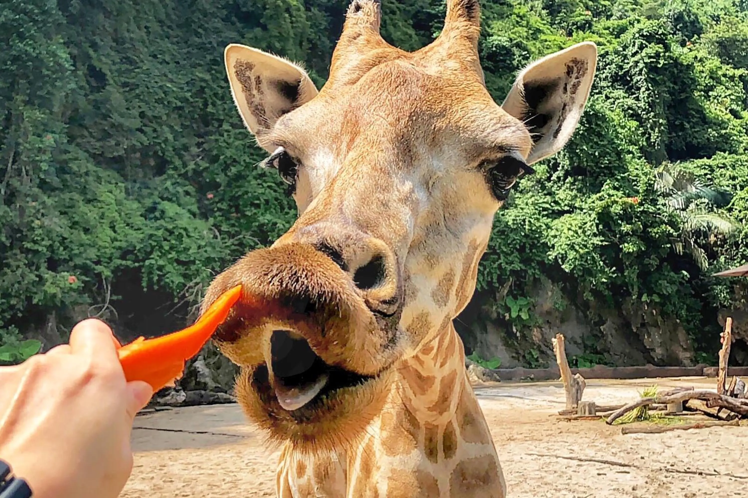 Nearby landmark in Golden Roof Hotel Sunway Ipoh