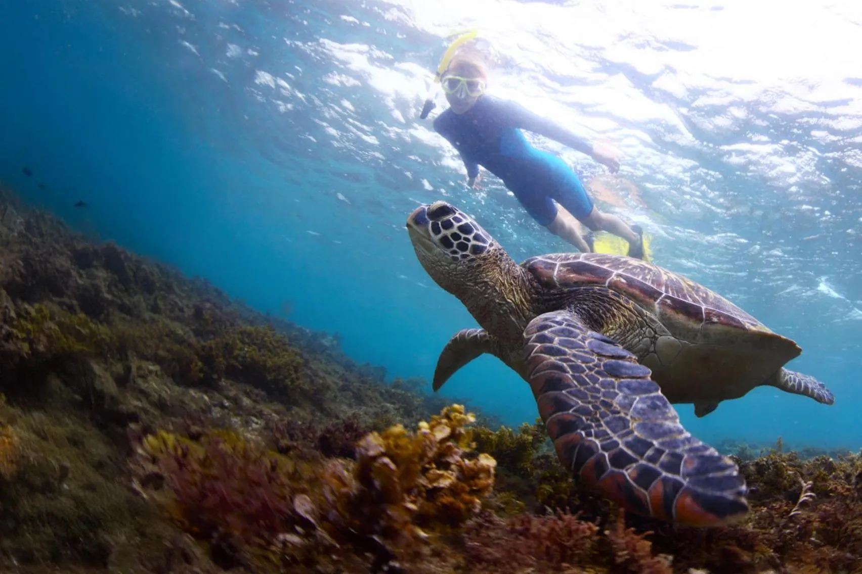 Activities in Kura Kura Resort Gili Meno